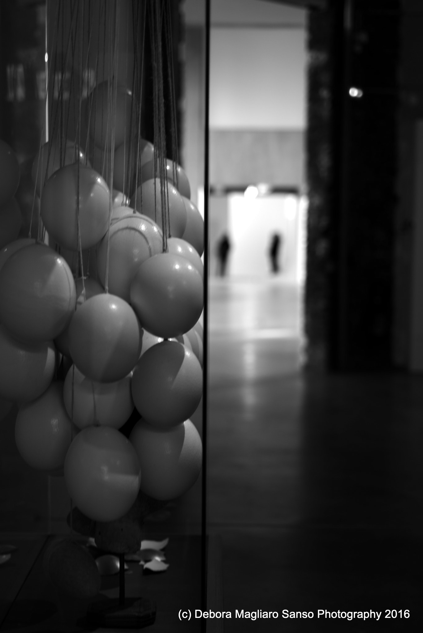 Nikon D610 + Nikon AF Micro-Nikkor 60mm F2.8D sample photo. Whimsical views photography