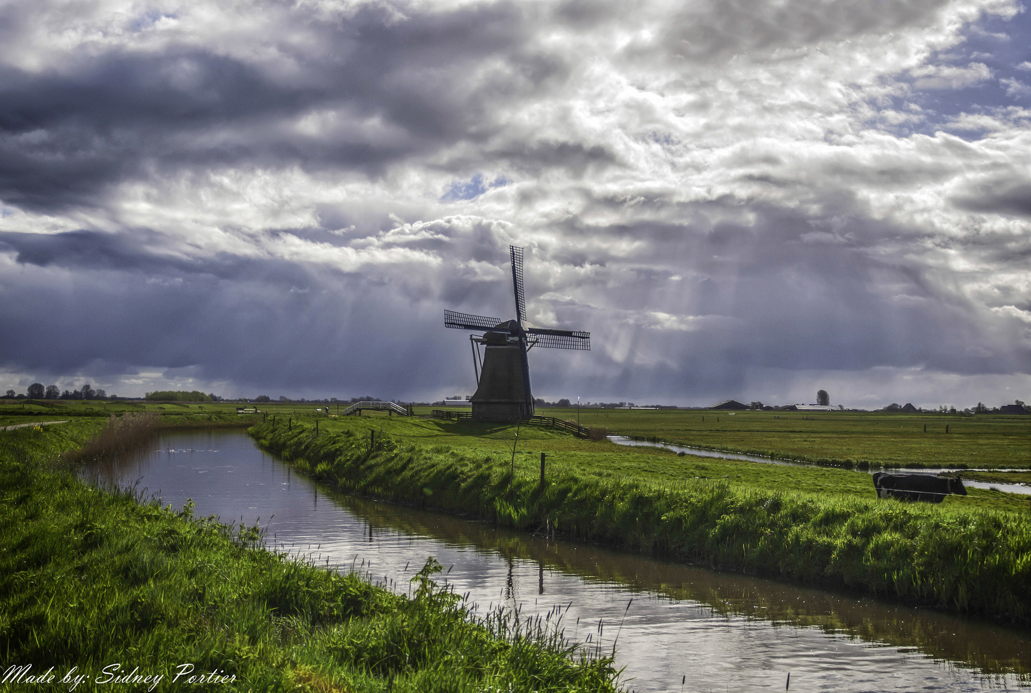 Nikon D90 + Sigma 17-70mm F2.8-4.5 DC Macro Asp. IF sample photo. De hempenserpoldermolen photography