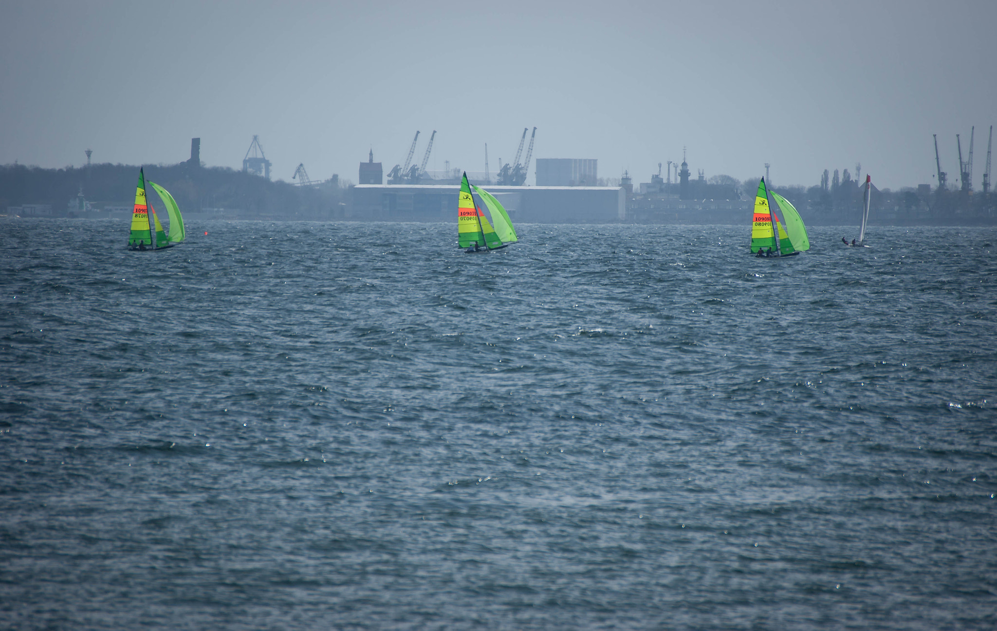 Sony Alpha DSLR-A390 sample photo. Contrasts photography