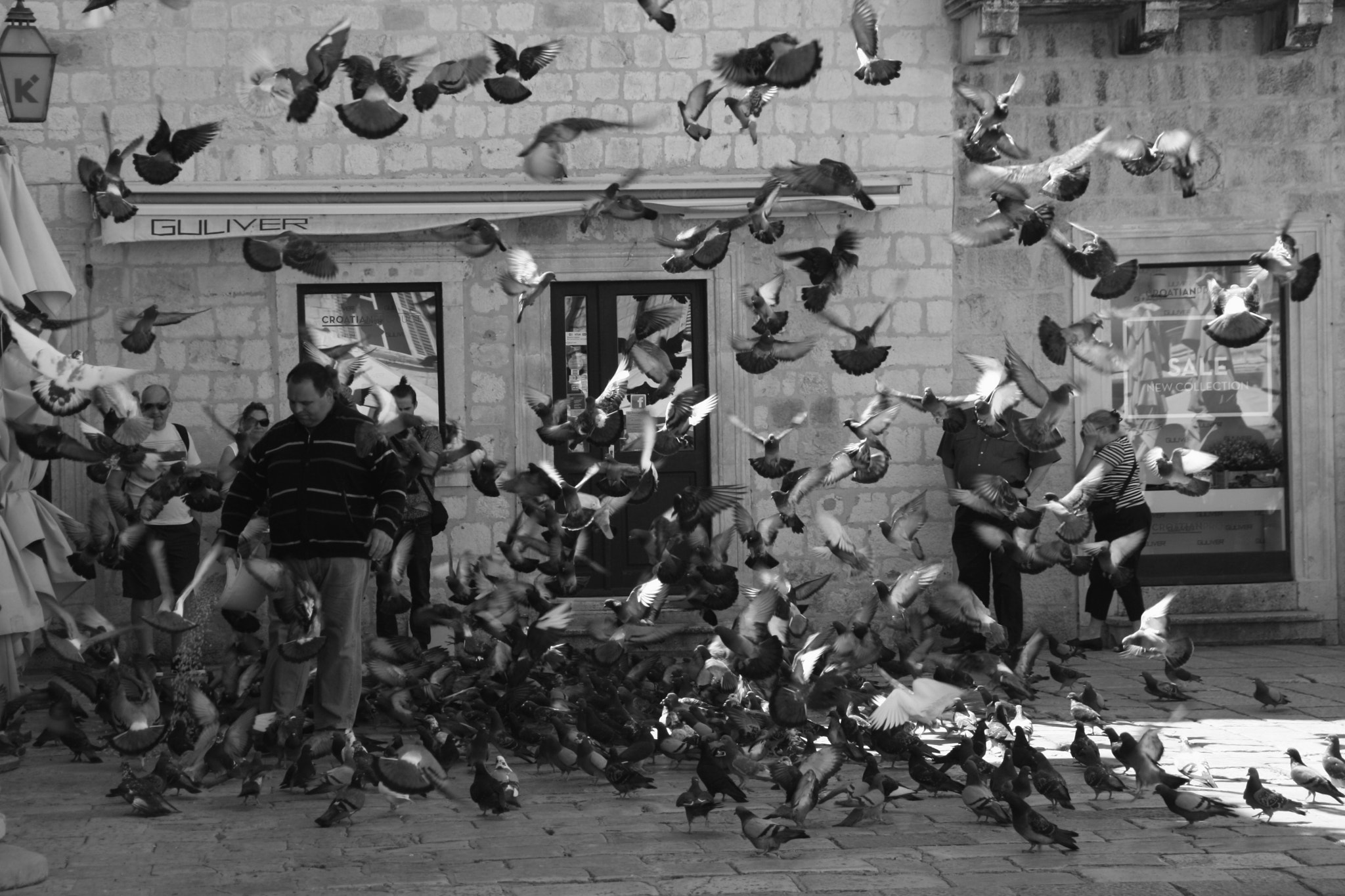 Sigma 18-125mm F3.8-5.6 DC OS HSM sample photo. Les oiseaux photography
