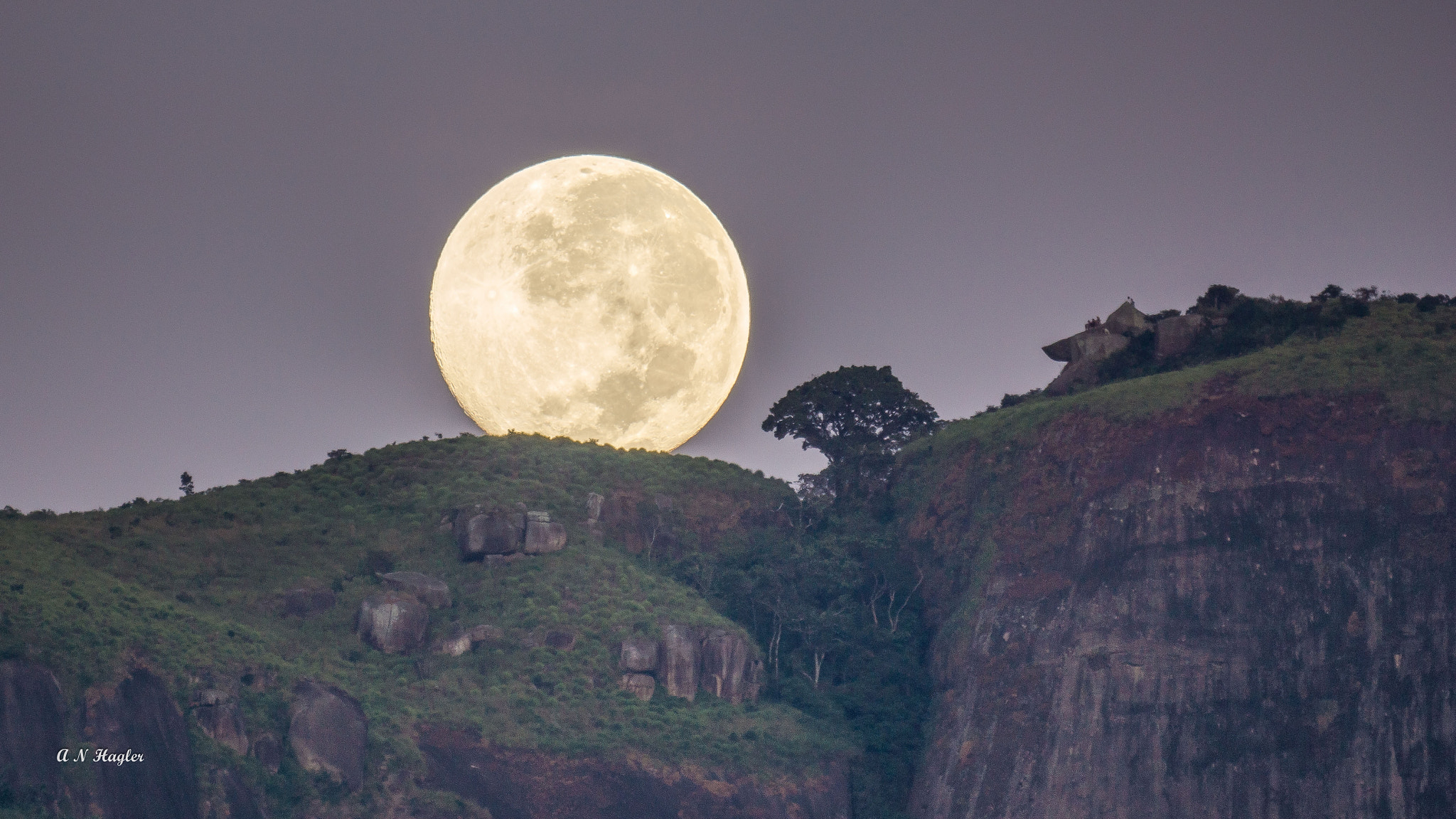 Sony SLT-A77 + Sony 500mm F8 Reflex sample photo. Dawn moon-set with tree photography