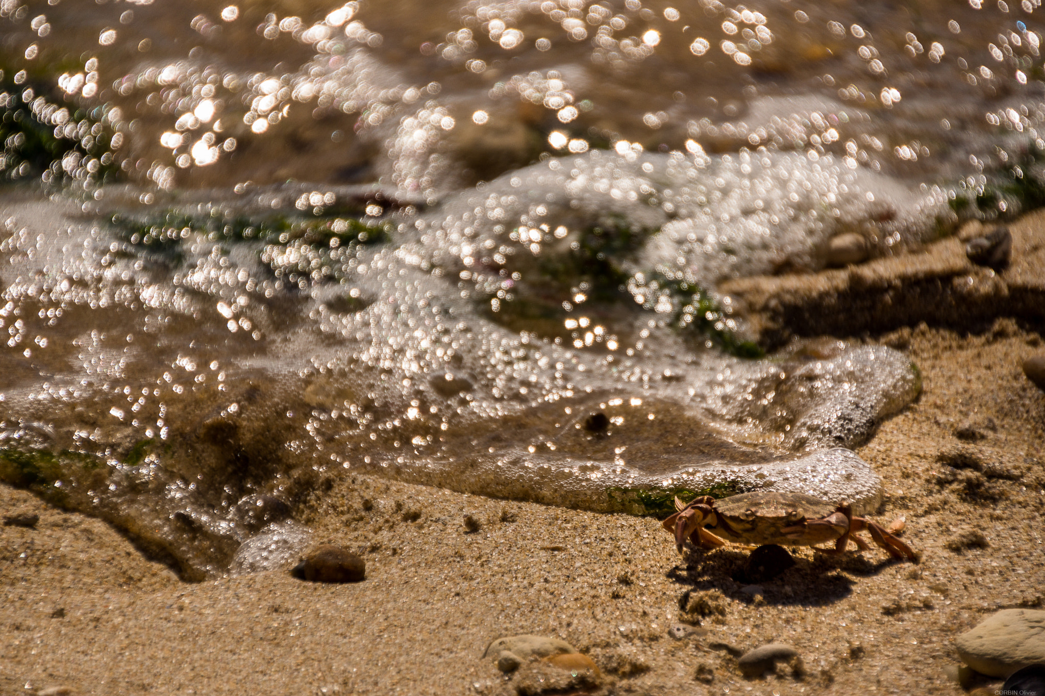 Sony SLT-A77 + DT 18-270mm F3.5-6.3 SSM sample photo. *** photography