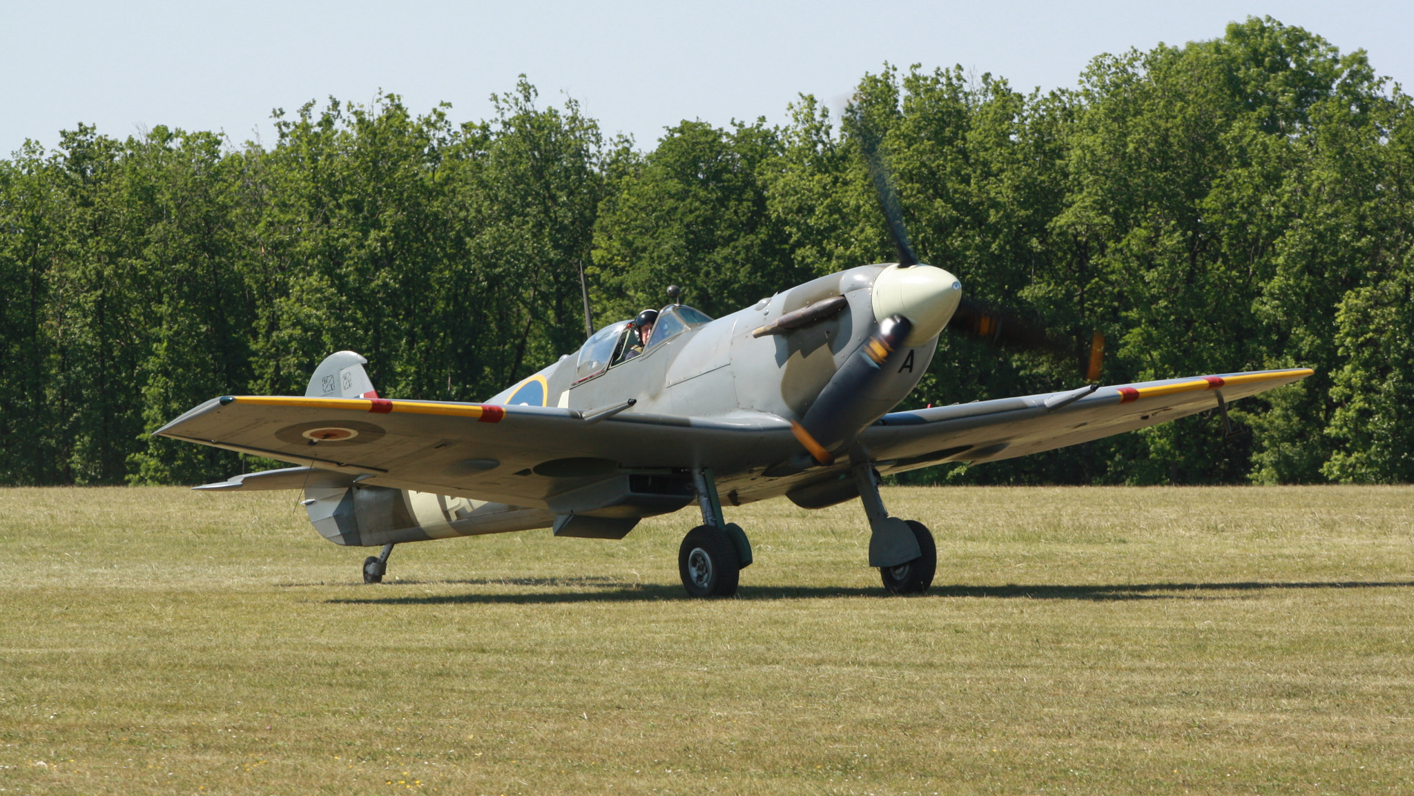 Canon EF 90-300mm F4.5-5.6 sample photo. "spitfire" photography