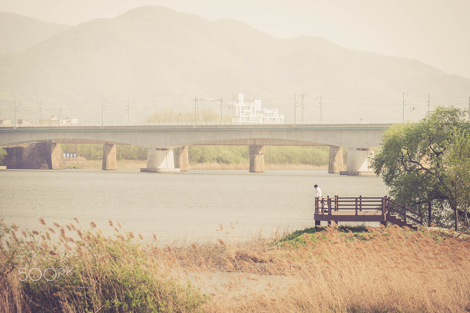 Panasonic Lumix G X Vario 35-100mm F2.8 OIS sample photo. Stand photography