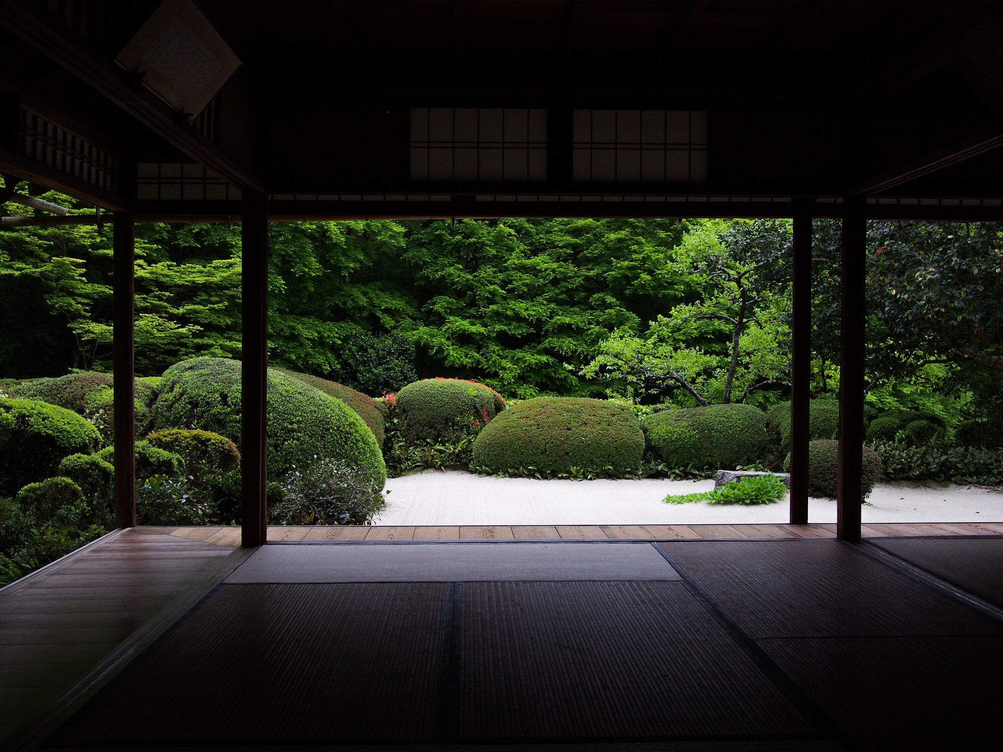 Olympus PEN E-PL6 + LUMIX G 20/F1.7 II sample photo. Shisendo, kyoto. japan photography