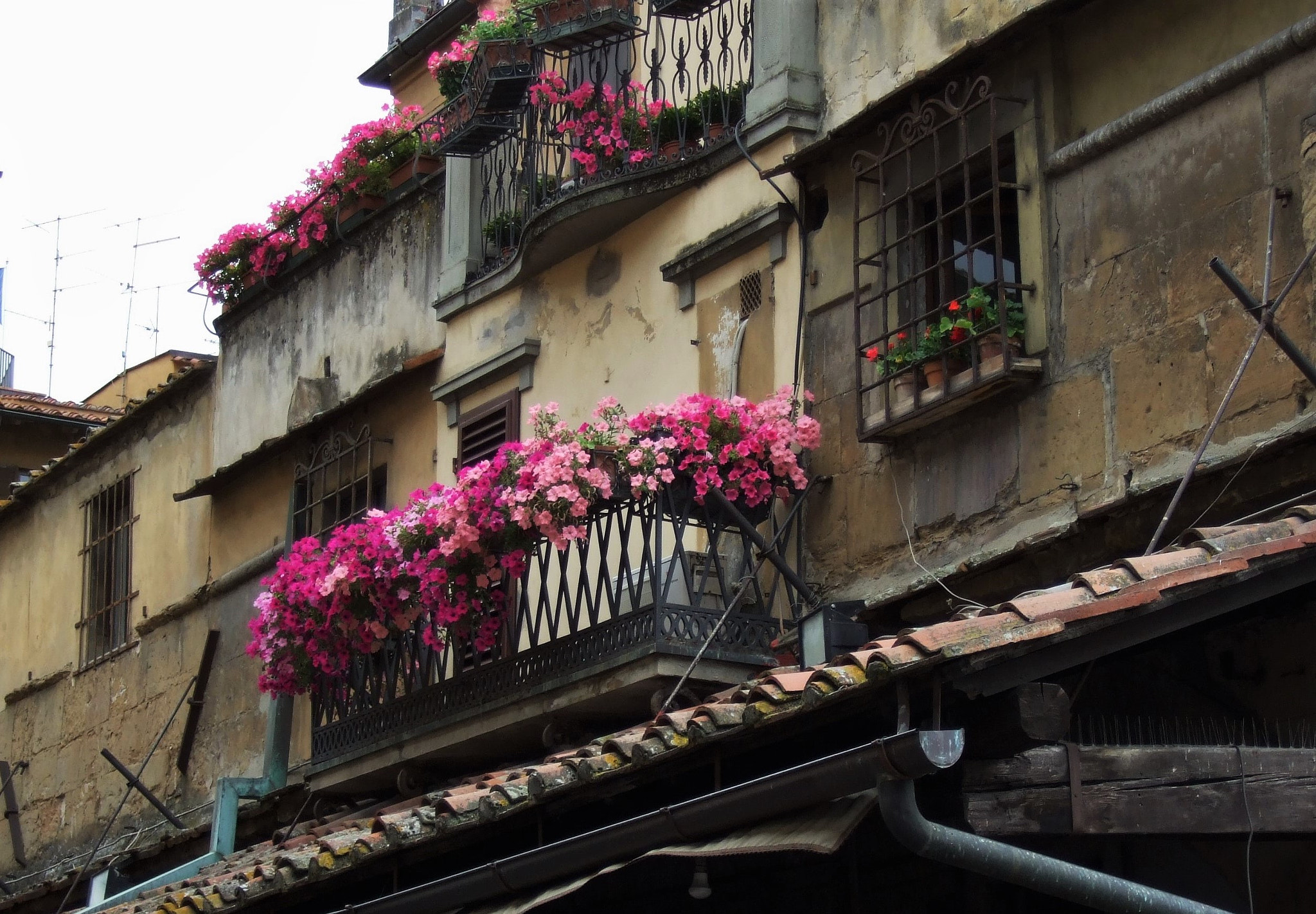 Fujifilm FinePix F31fd sample photo. Ponte vecchio - florence photography