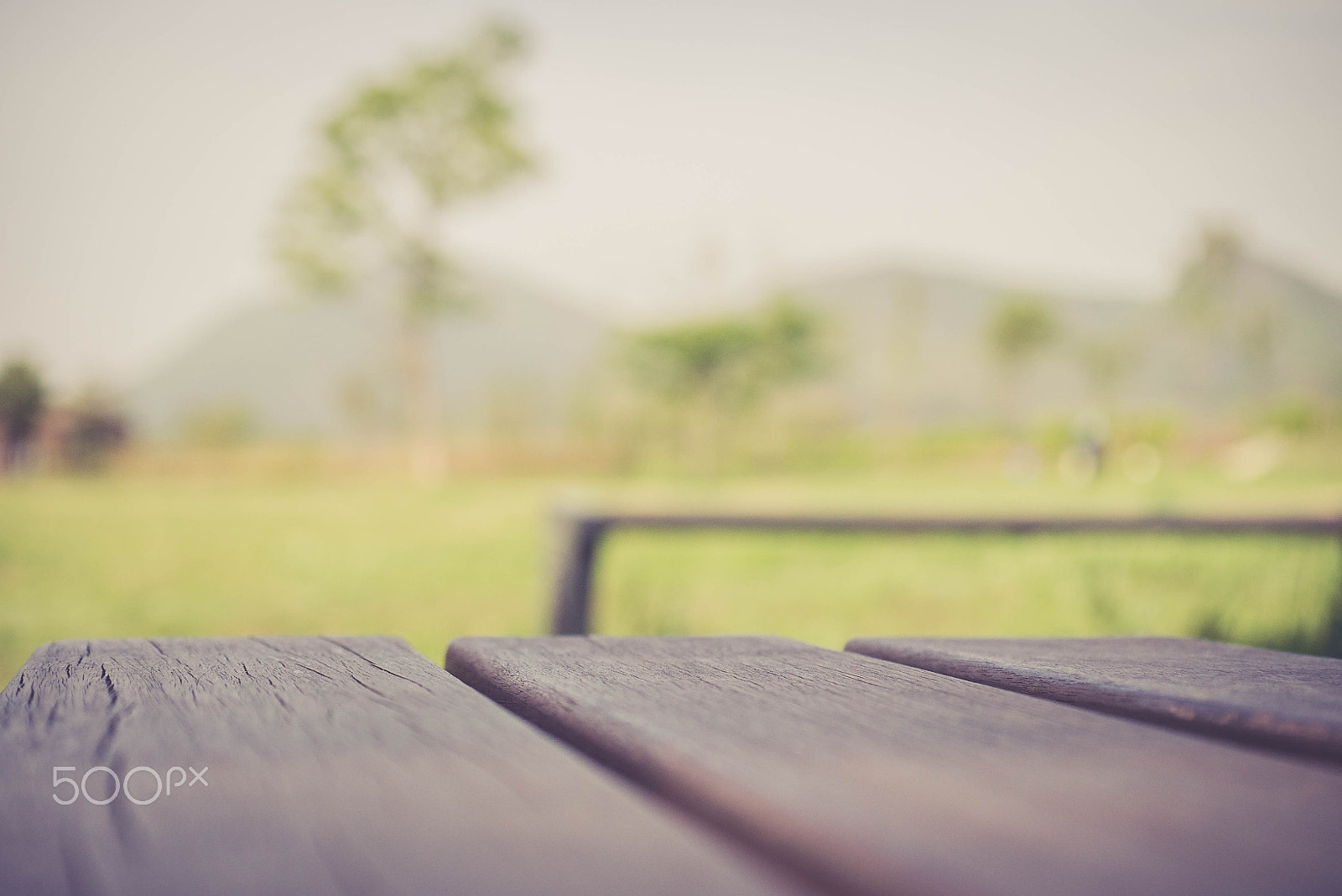 Panasonic Lumix G X Vario 35-100mm F2.8 OIS sample photo. Warm photography