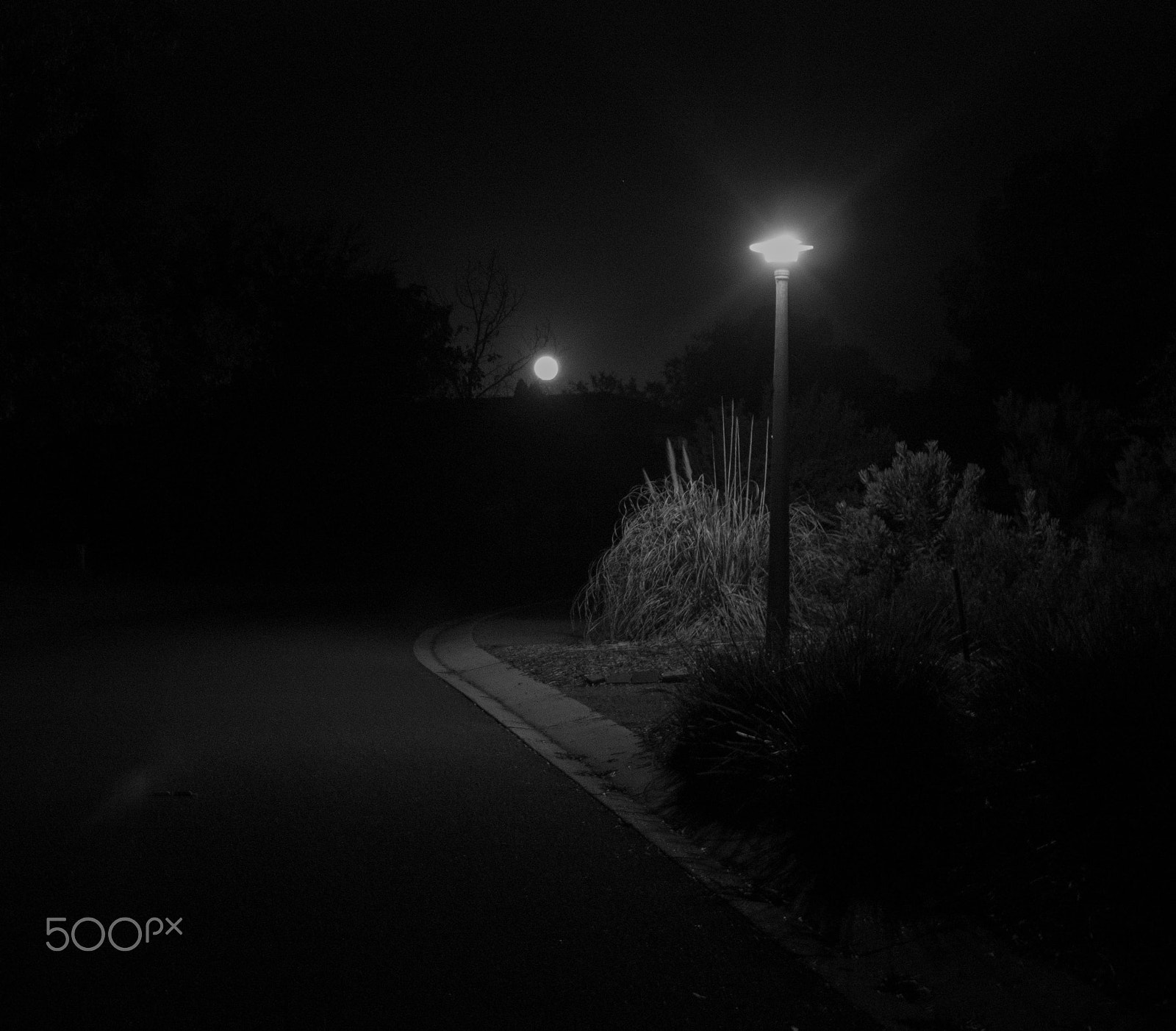 Panasonic DMC-GM1S sample photo. Moon light photography