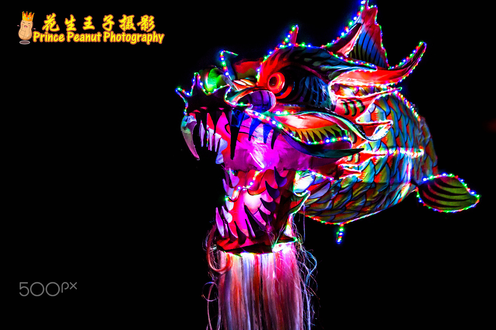 Sony SLT-A37 sample photo. Dragon head fish tail photography
