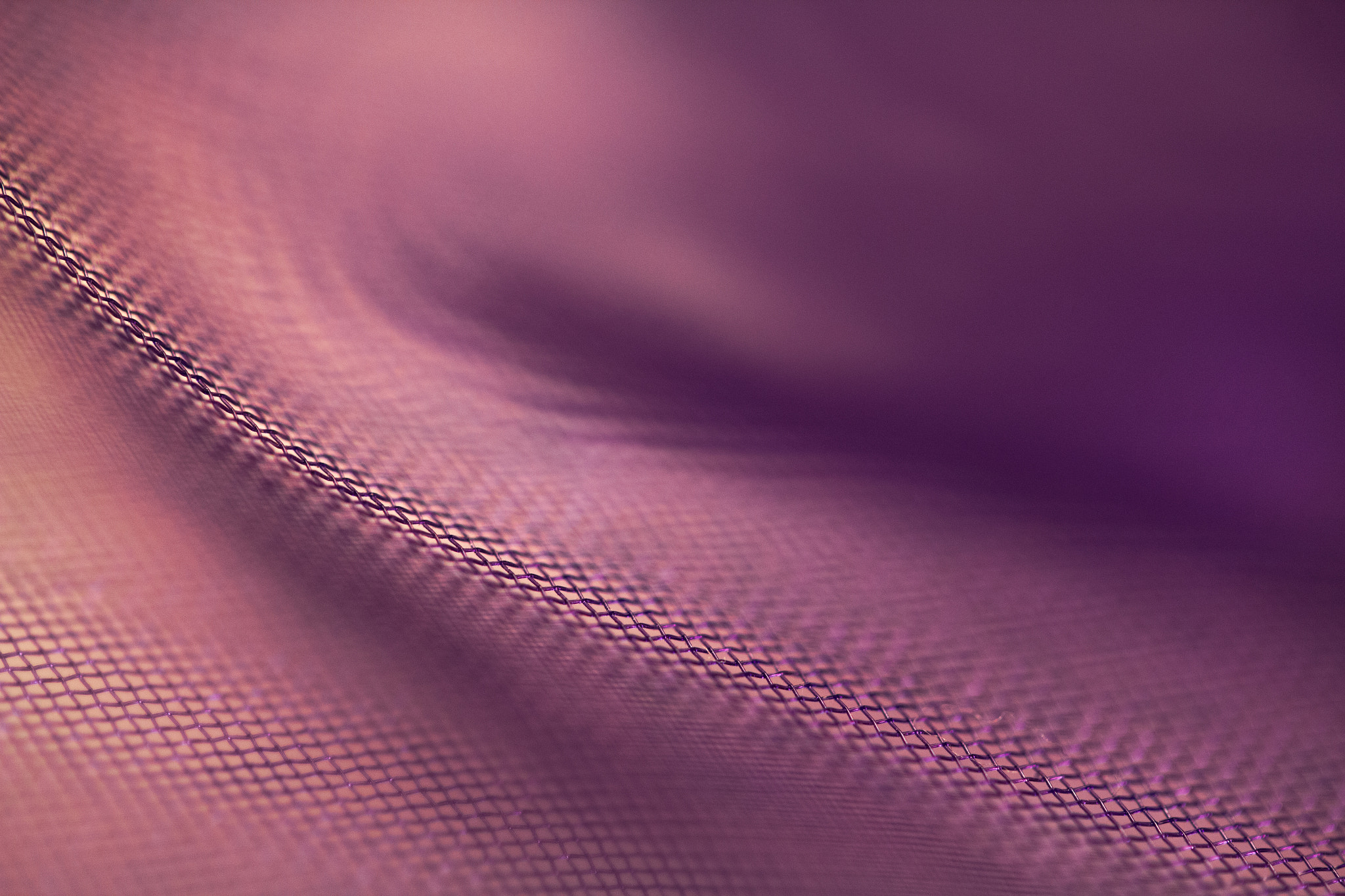 Canon EF-S 60mm F2.8 Macro USM sample photo. Patterns in purple photography