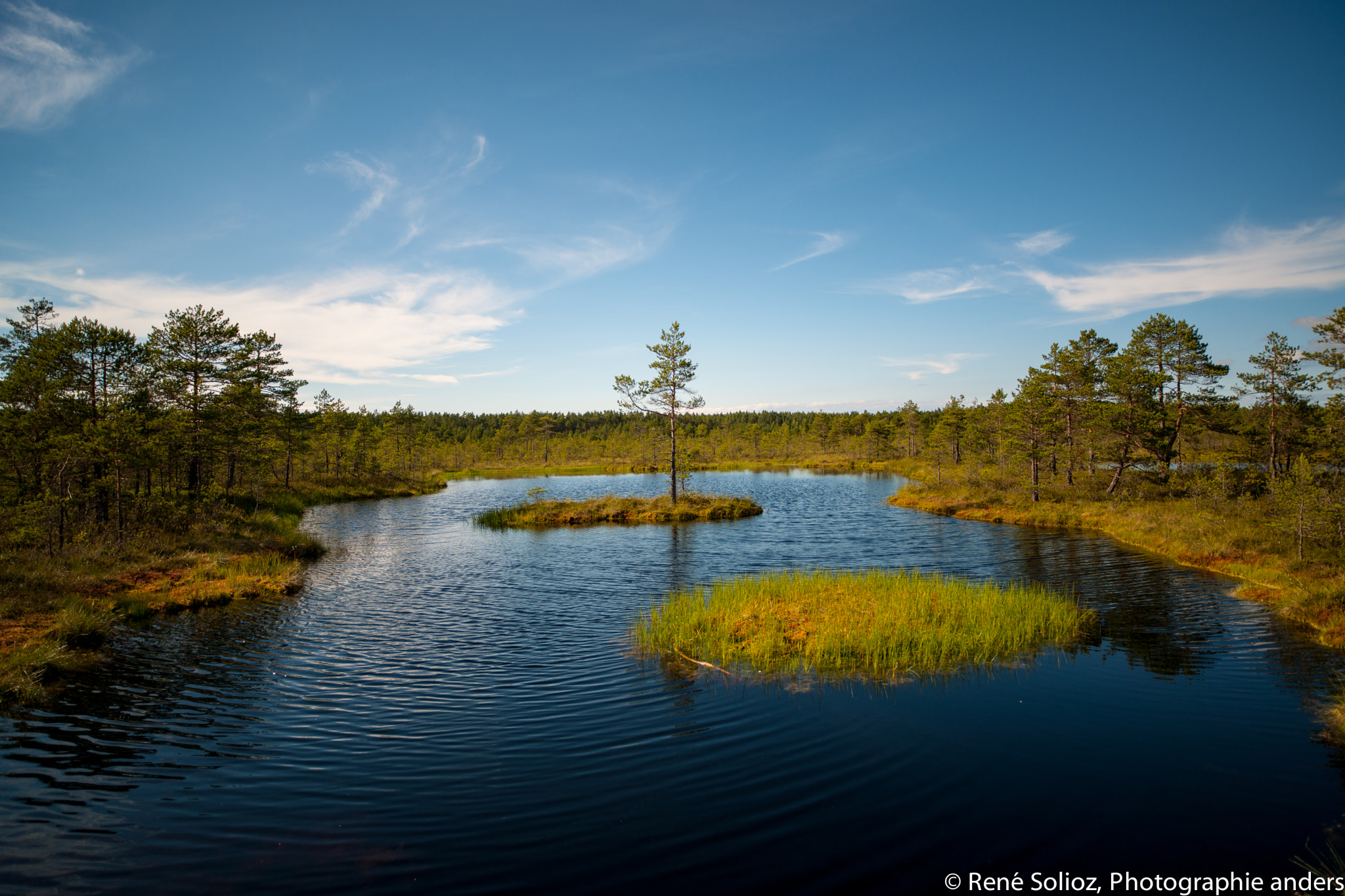 Nikon D3X sample photo. National park estonia photography