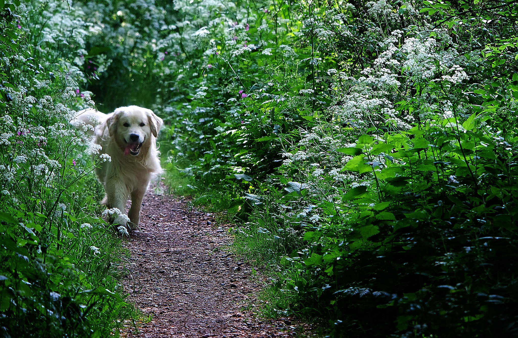 Samsung NX3000 + NX 50-200mm F4-5.6 sample photo. Jack having fun photography