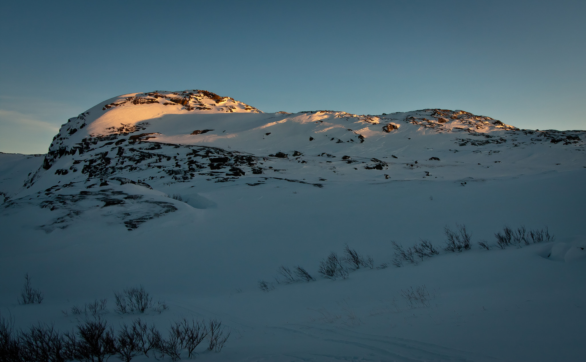 Canon EOS 40D + Sigma 20mm EX f/1.8 sample photo. Tundra in red 2 photography