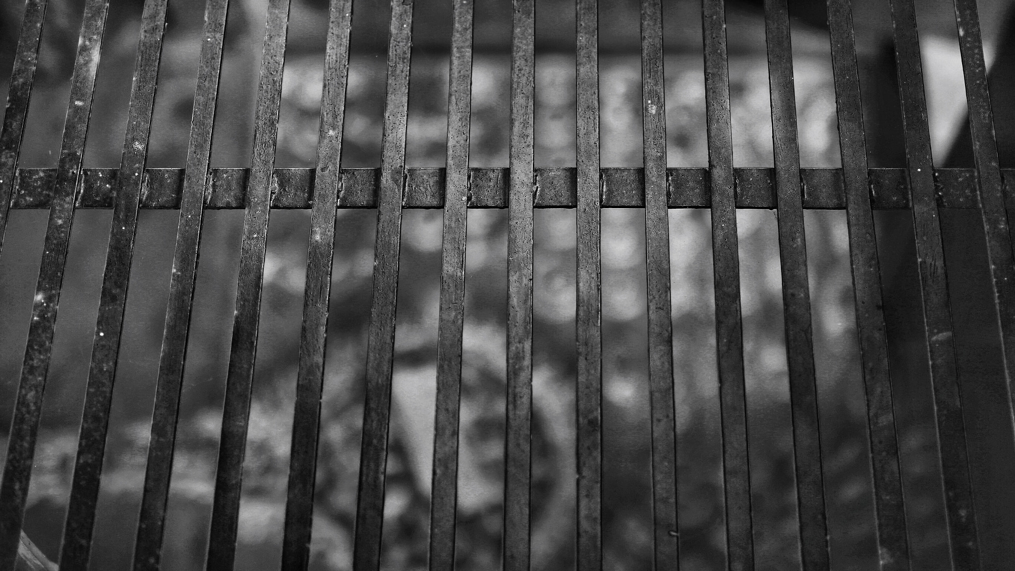 Canon 50mm sample photo