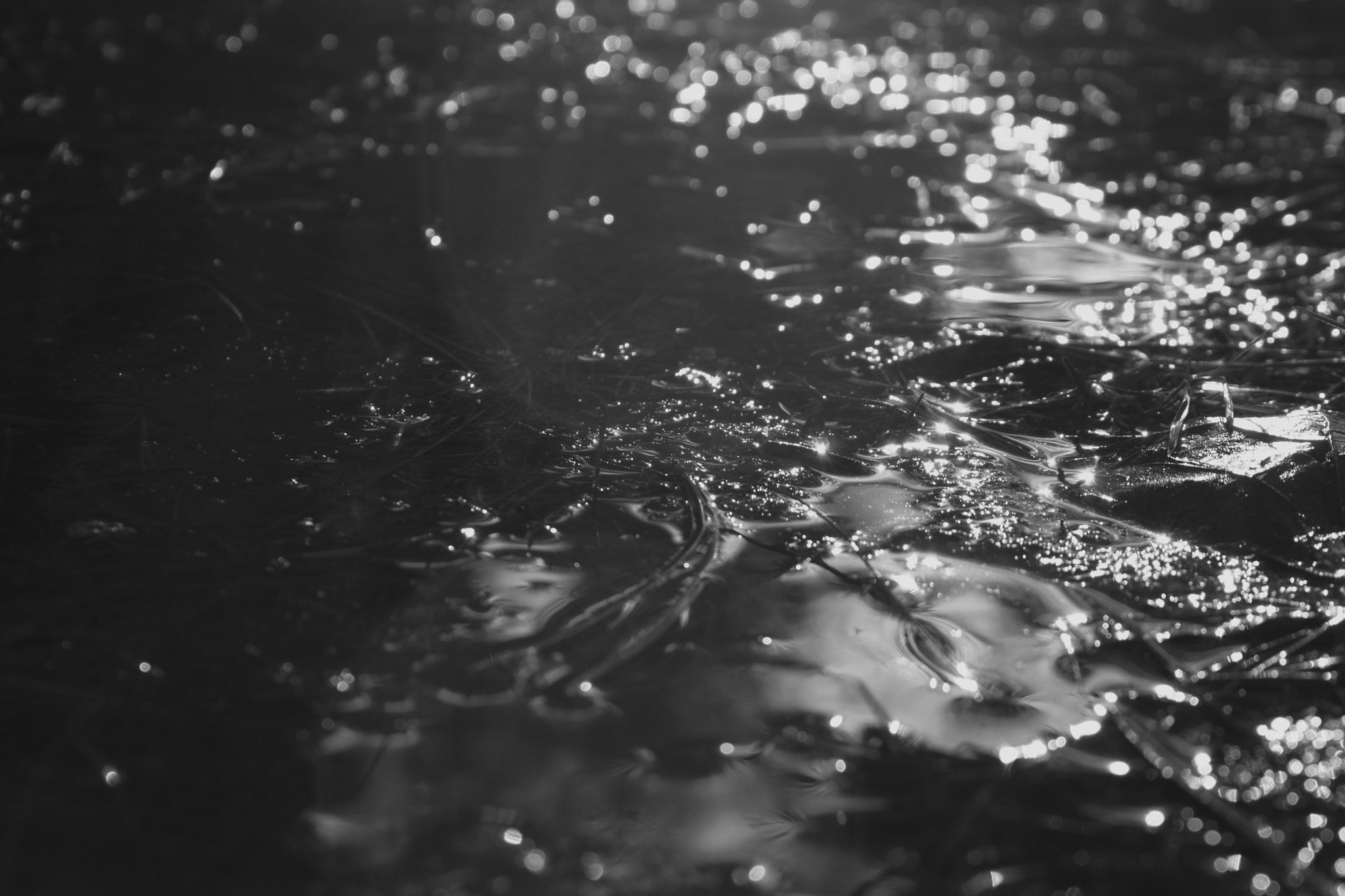 Canon EF-S 18-55mm F3.5-5.6 IS sample photo. B&w mud photography