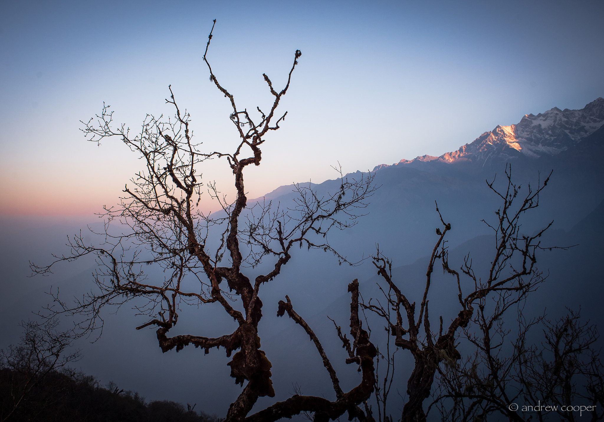 Nikon Df + AF Nikkor 28mm f/2.8 sample photo. Reach high photography