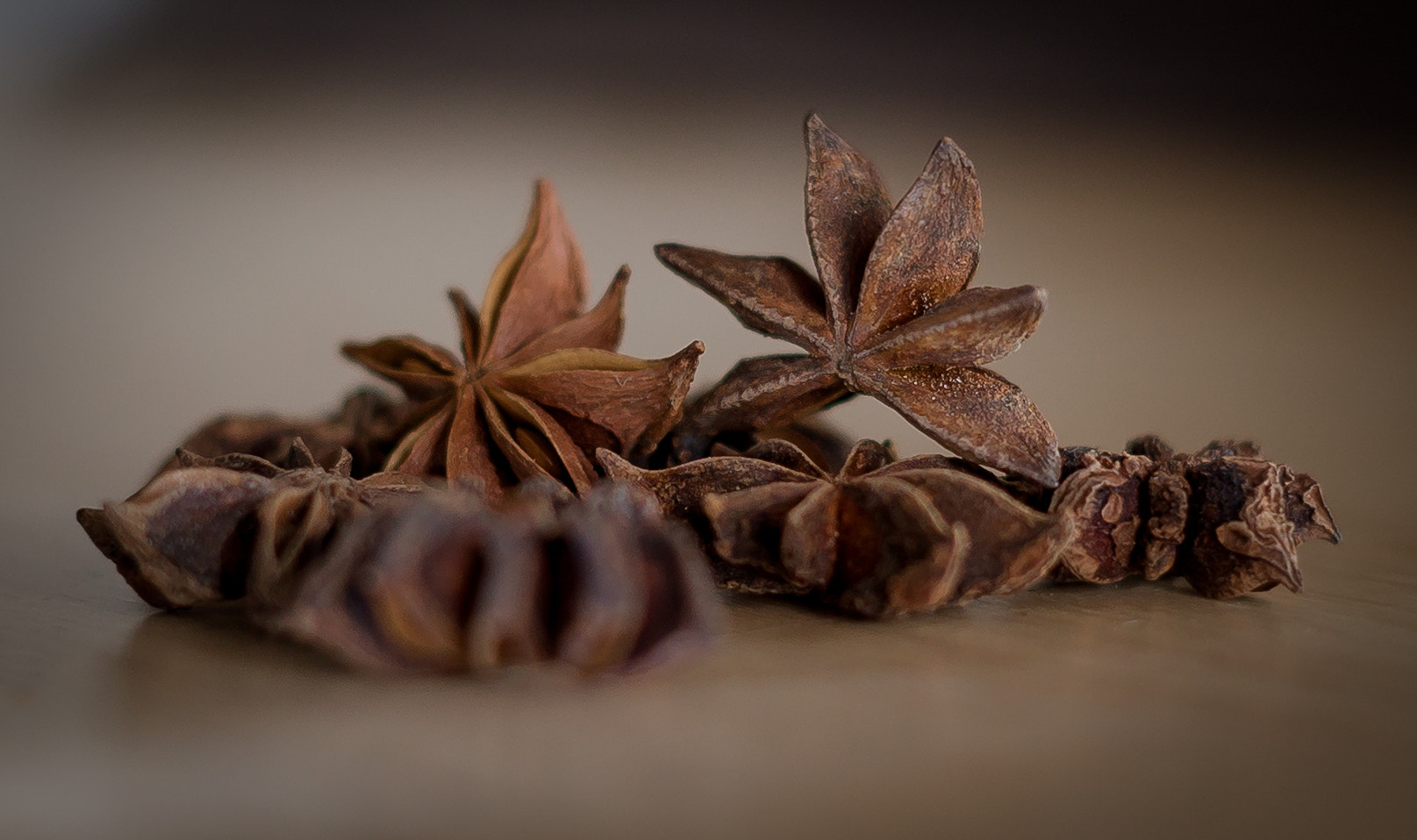 E 50mm F2 sample photo. Litle star photography