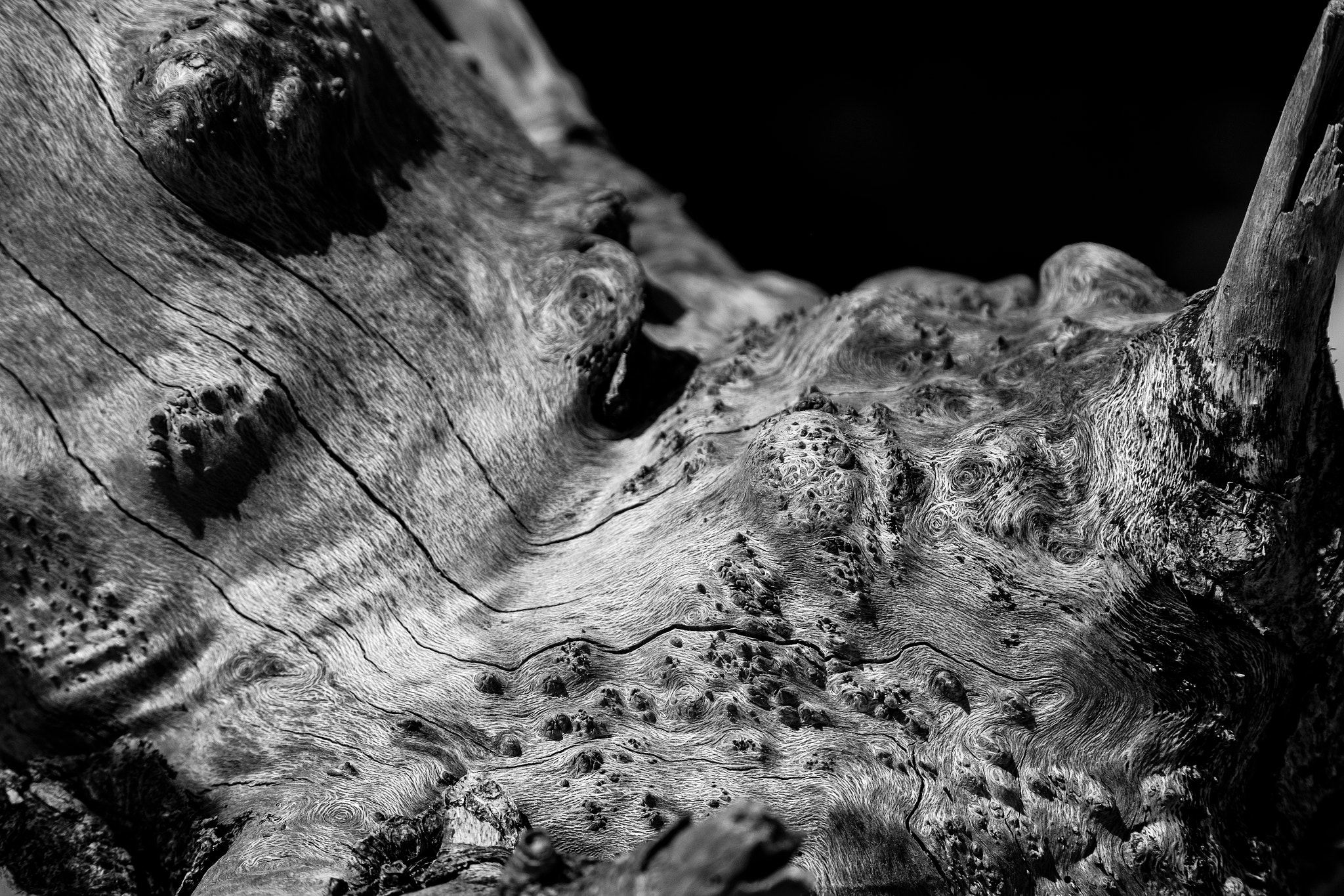 XF100-400mmF4.5-5.6 R LM OIS WR + 1.4x sample photo. Weathered photography