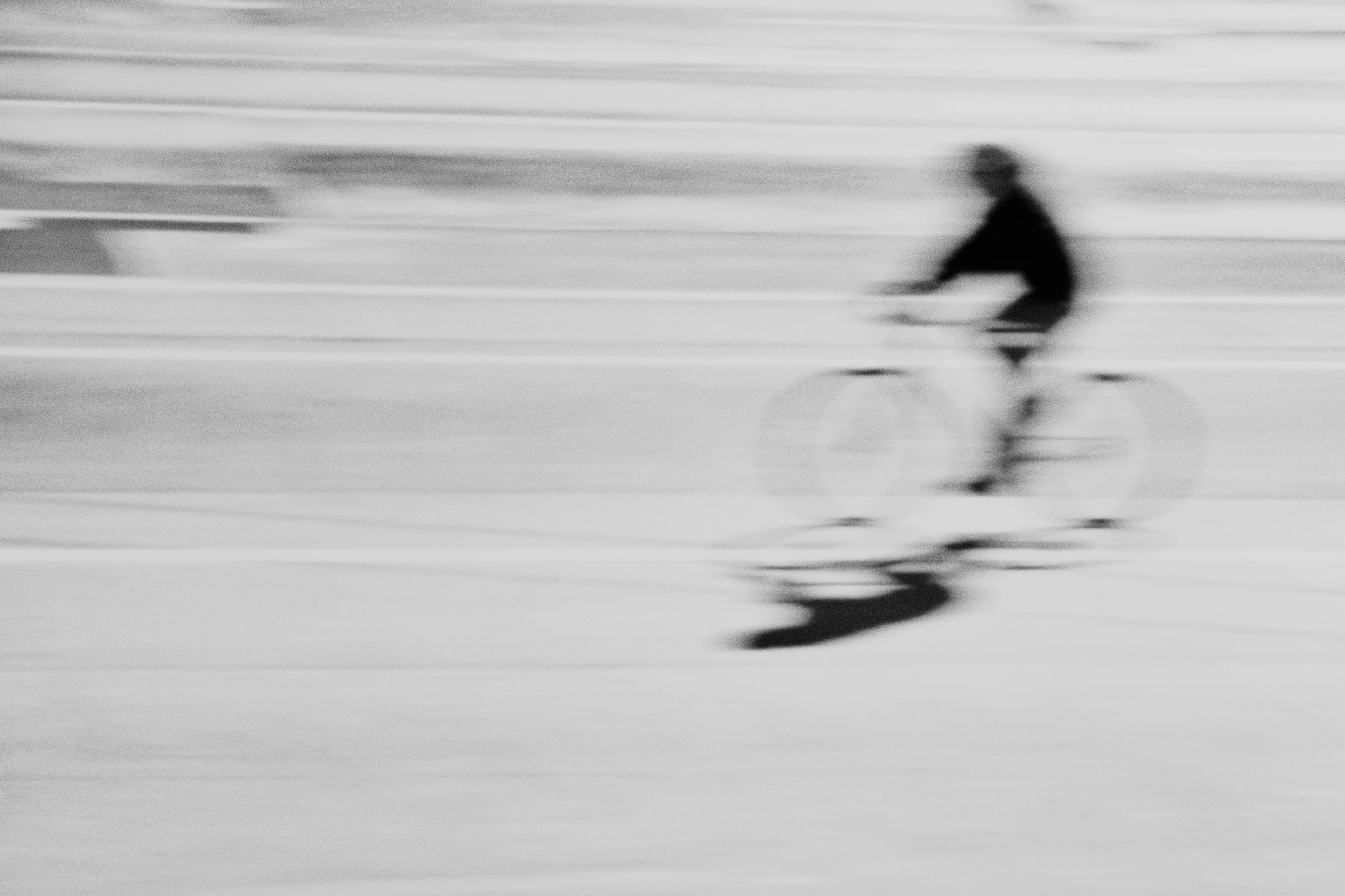Sigma 17-70mm F2.8-4 DC Macro OS HSM | C sample photo. Fleeting encounter photography
