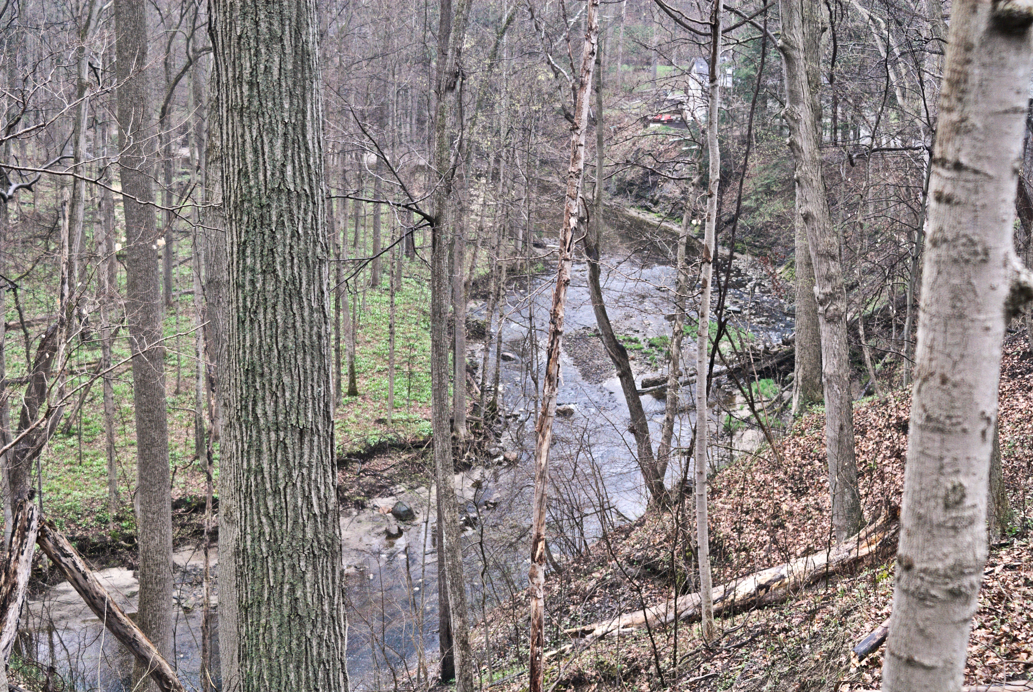 Nikon D200 + AF Zoom-Nikkor 35-70mm f/3.3-4.5 sample photo. Vermilion tributary photography