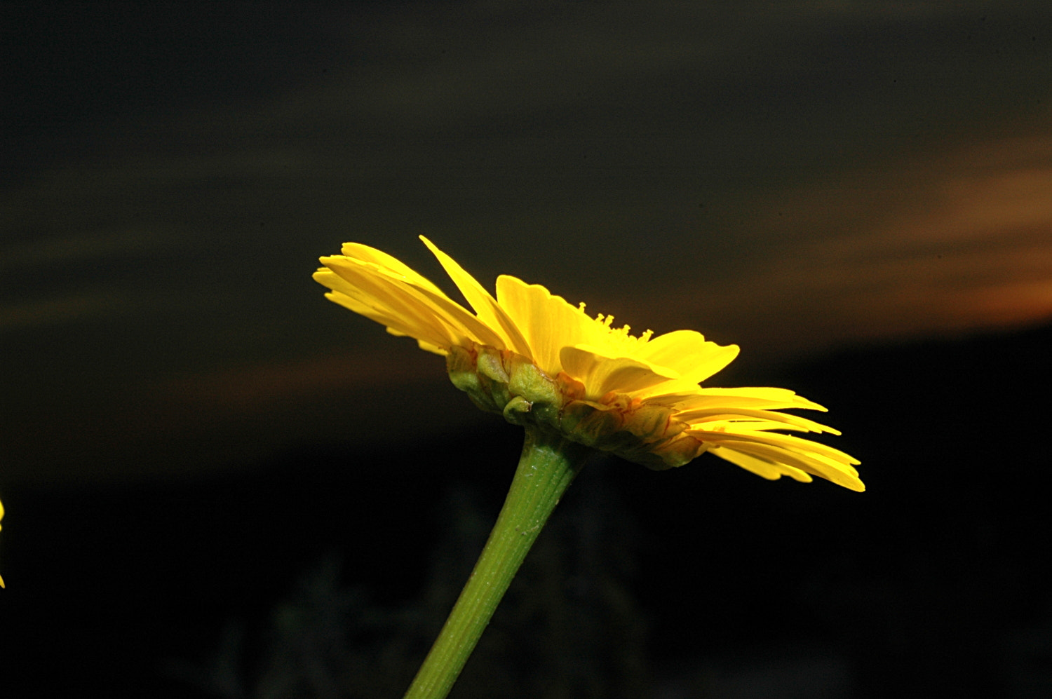 AF Zoom-Nikkor 35-70mm f/3.3-4.5 N sample photo. A photography