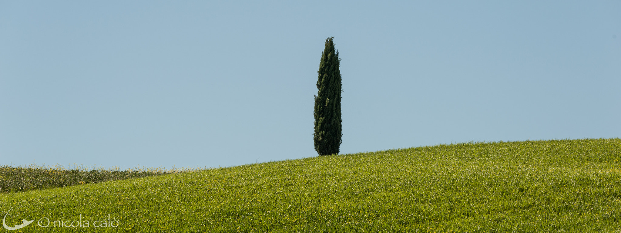 Sigma 150-600mm F5-6.3 DG OS HSM | C sample photo. Tuscany landscapes 2016 photography