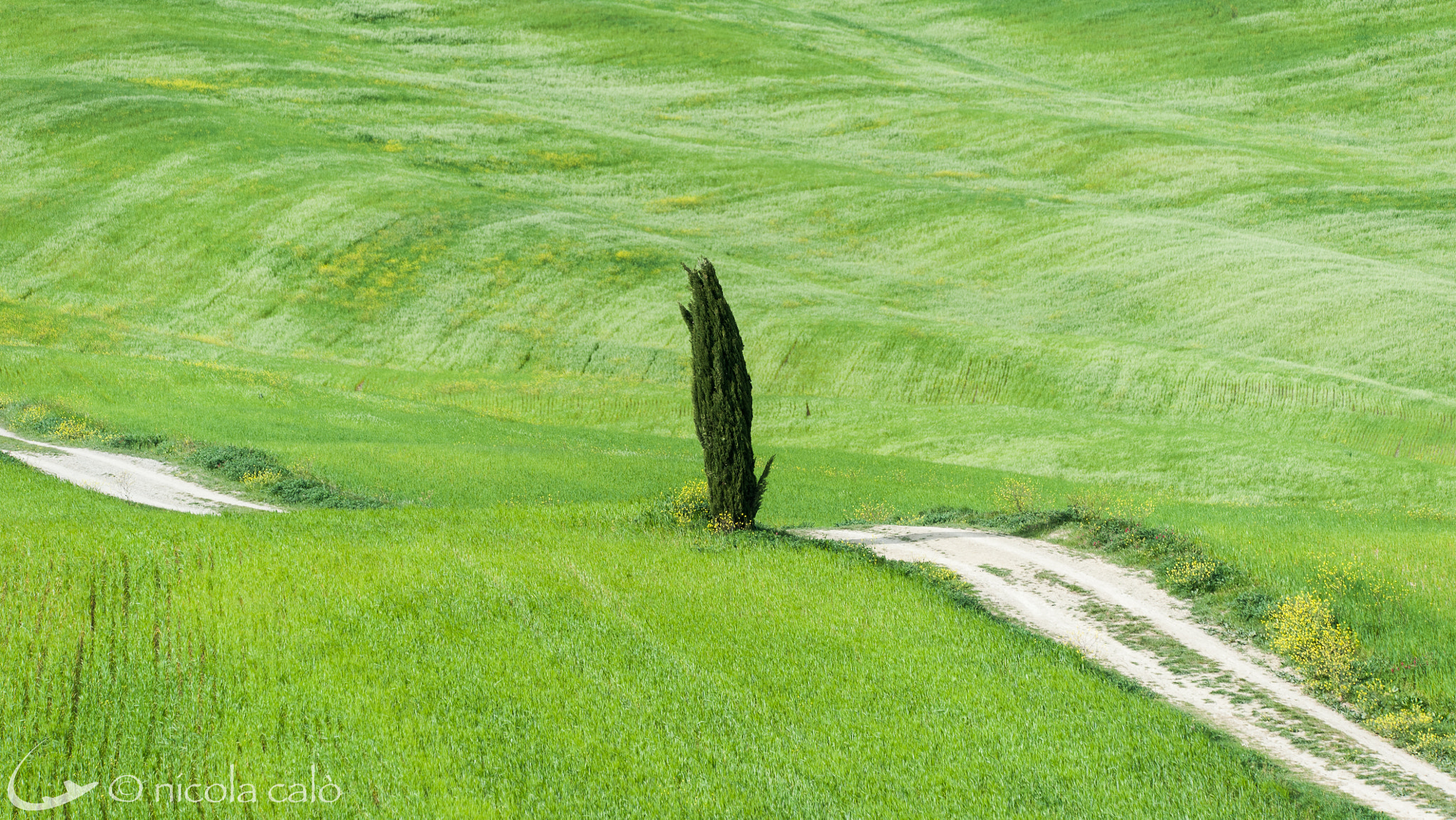 Sigma 150-600mm F5-6.3 DG OS HSM | C sample photo. Tuscany landscapes 2016 photography