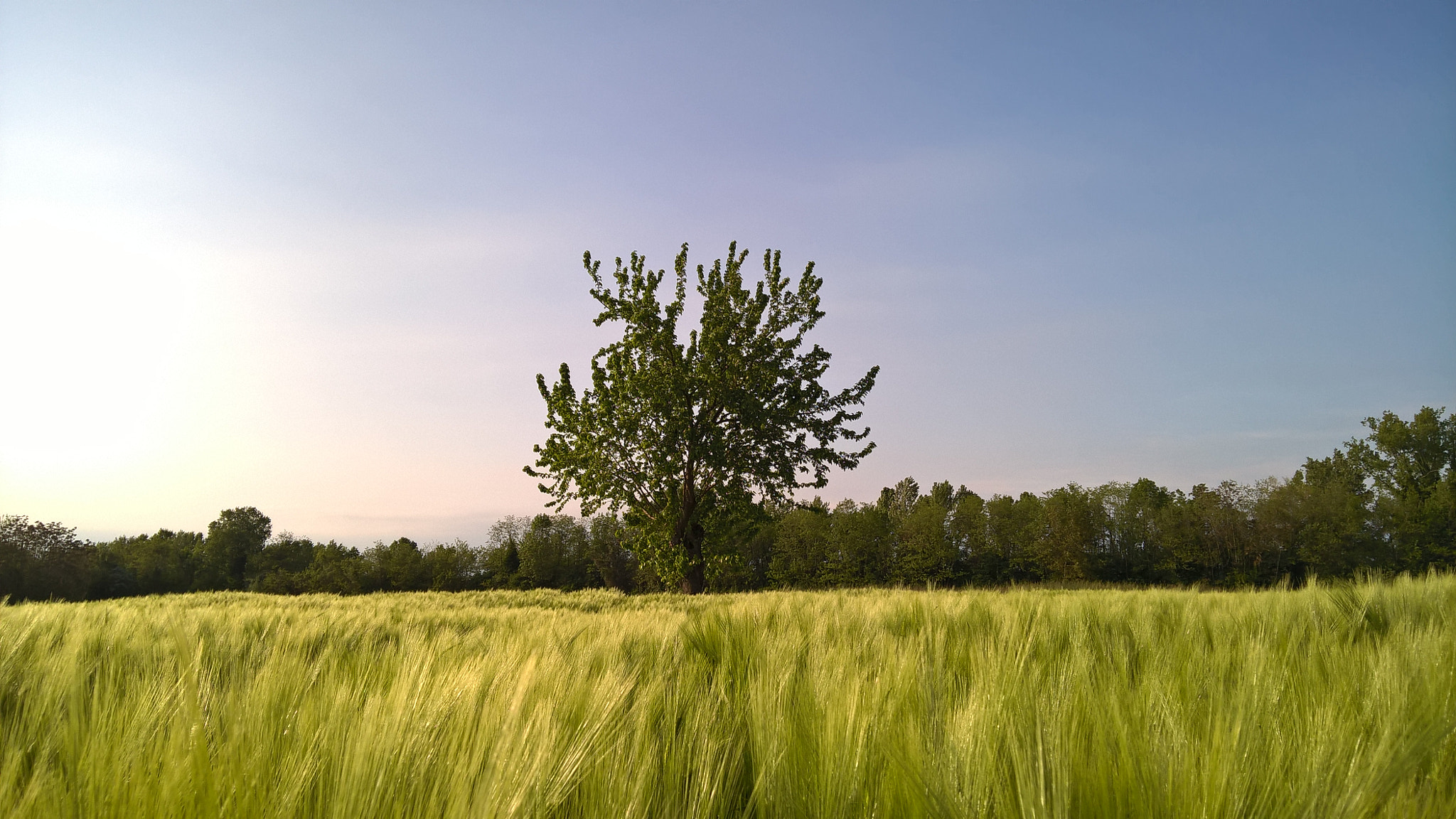 Microsoft Lumia 640 XL sample photo. Italian countryside photography