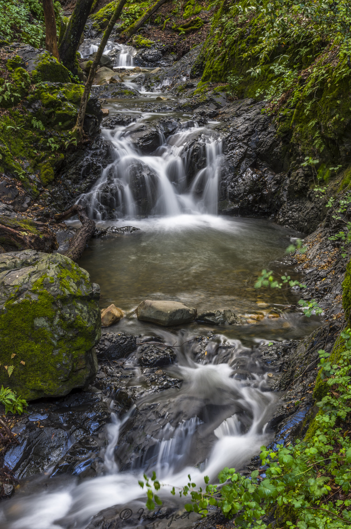 Pentax K-3 II sample photo. Triplet photography