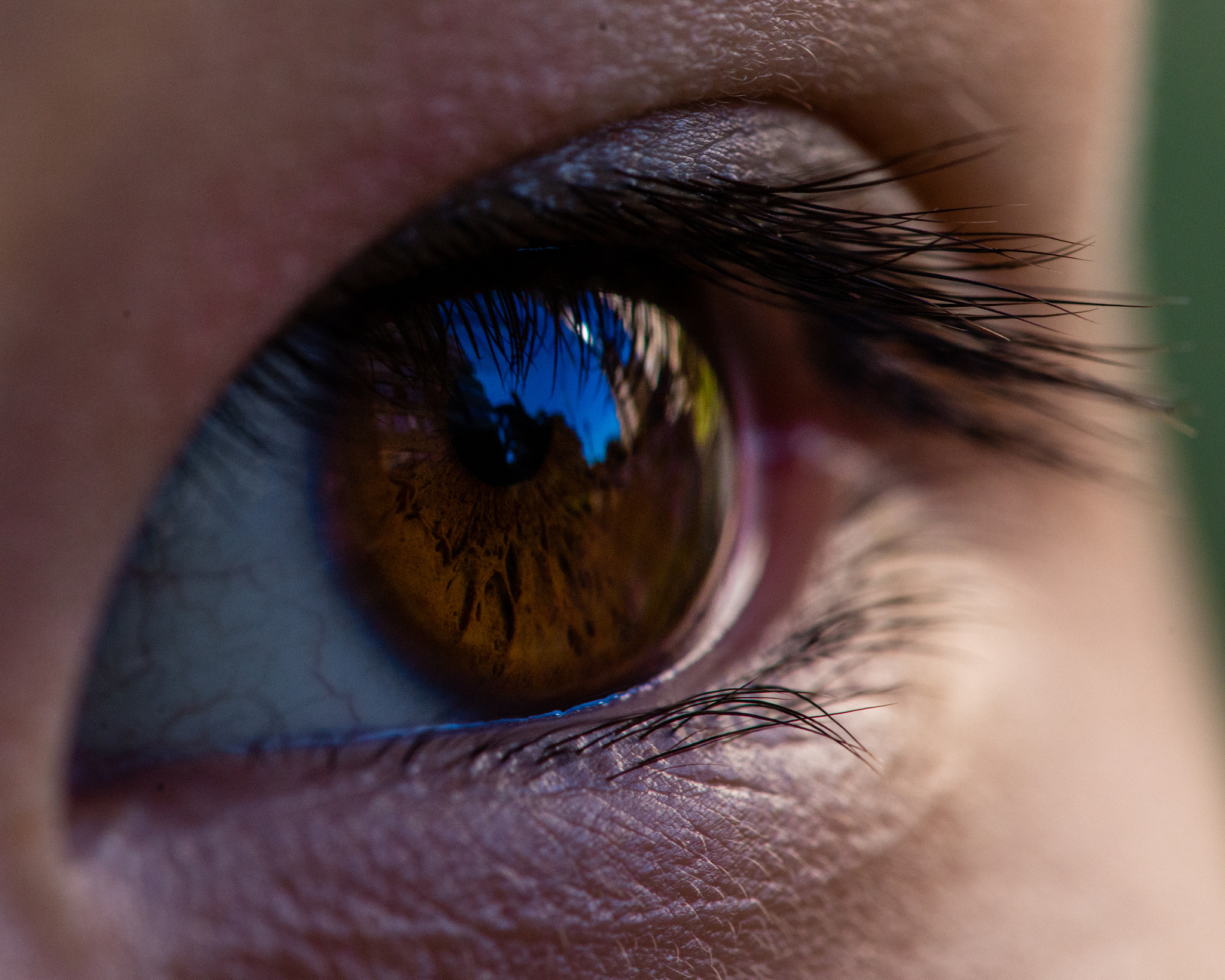 Nikon D800 + Nikon AF Micro-Nikkor 200mm F4D ED-IF sample photo. The eye, vancouver, 2014 photography