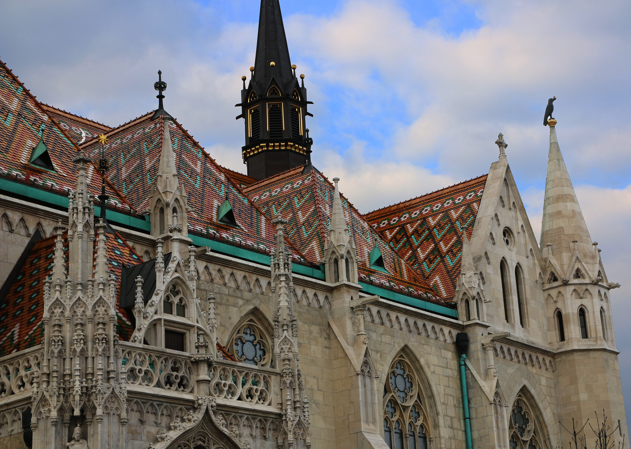 Canon EOS 70D + Canon EF 500mm F4L IS USM sample photo. Budapest 2016 photography