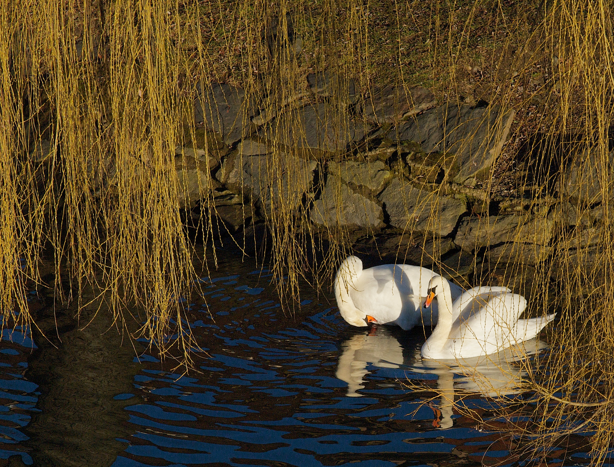 Olympus Zuiko Digital ED 50-200mm F2.8-3.5 SWD sample photo. Slovenia photography