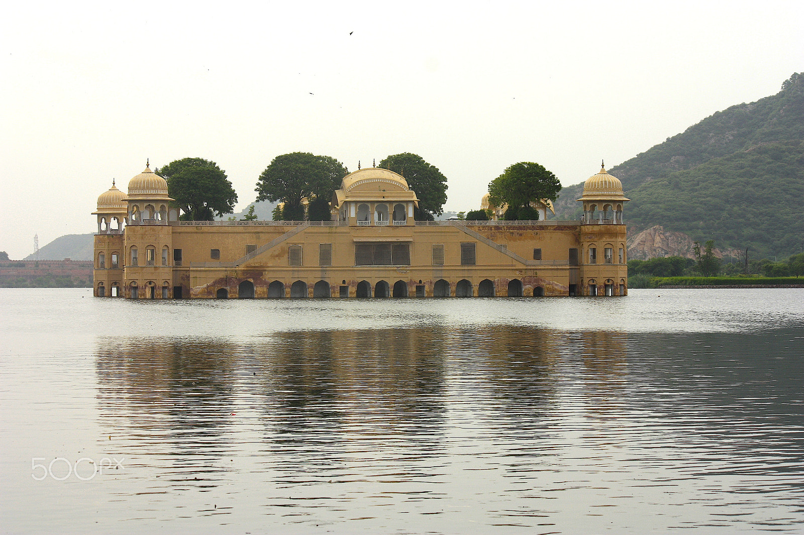 Canon EOS 450D (EOS Rebel XSi / EOS Kiss X2) sample photo. The full jal mahal standing (half standing) photography
