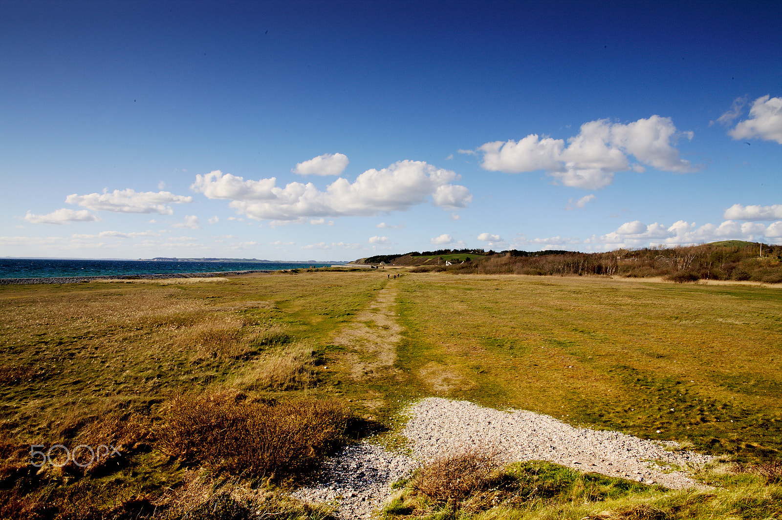 Canon EOS 5D + Canon EF 24mm F1.4L II USM sample photo. Lookingnorth photography