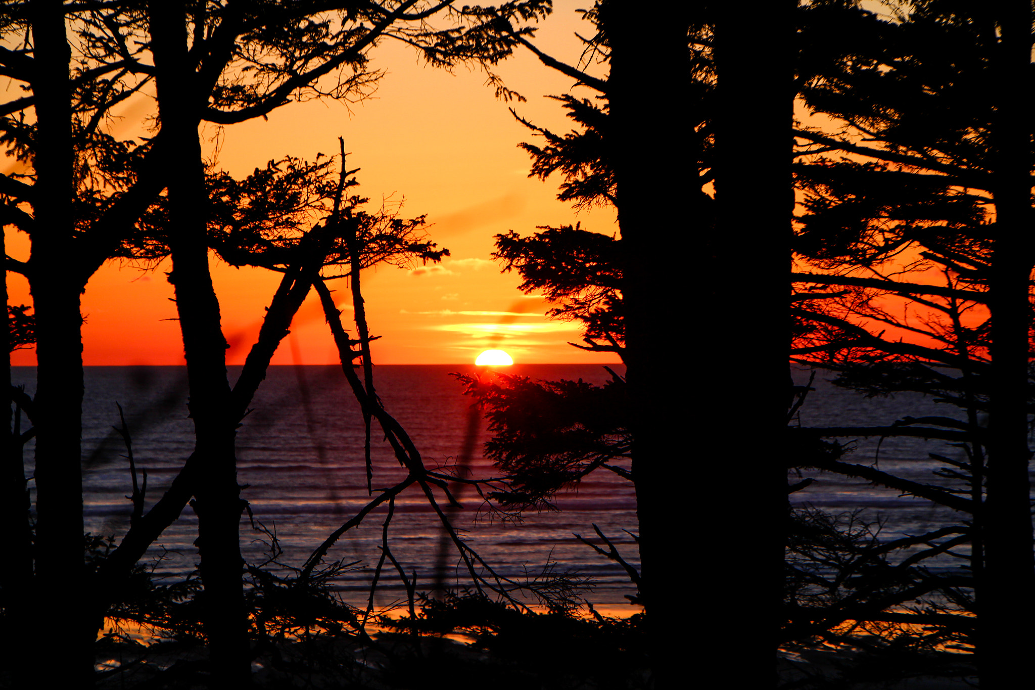 Canon EF-S 18-135mm F3.5-5.6 IS STM sample photo. Pacific northwest beach sunset photography