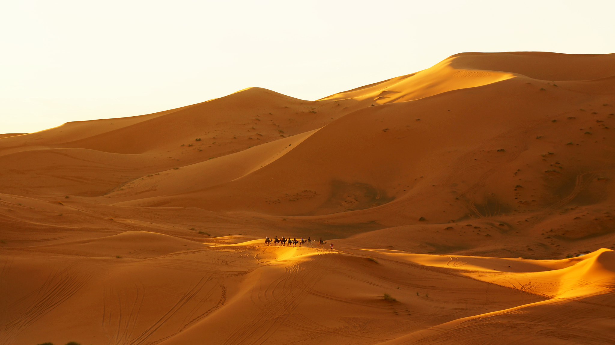 Sony E 18-55mm F3.5-5.6 OSS sample photo. Sunspot in sahara photography