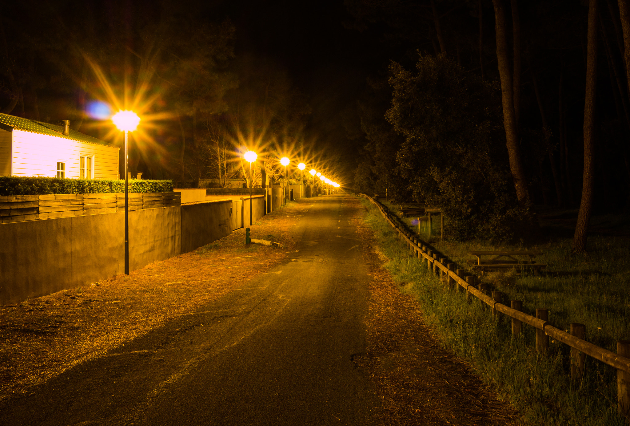 Panasonic Lumix DMC-G7 + LUMIX G 20/F1.7 II sample photo. Lights of the city - darkness of the forest photography