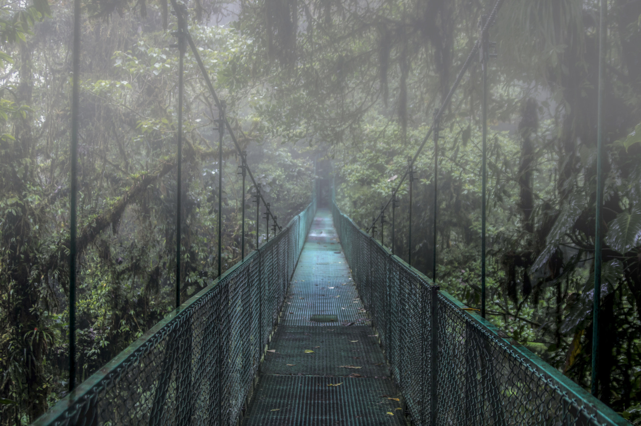 Tamron AF 28-75mm F2.8 XR Di LD Aspherical (IF) sample photo. On the road to a fairytale photography