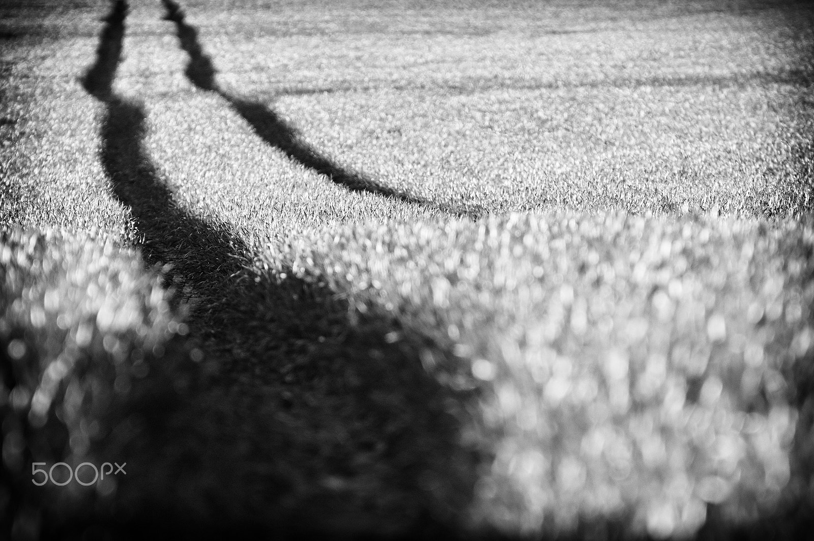70.00 - 300.00 mm f/4.0 - 5.6 sample photo. Way ... photography