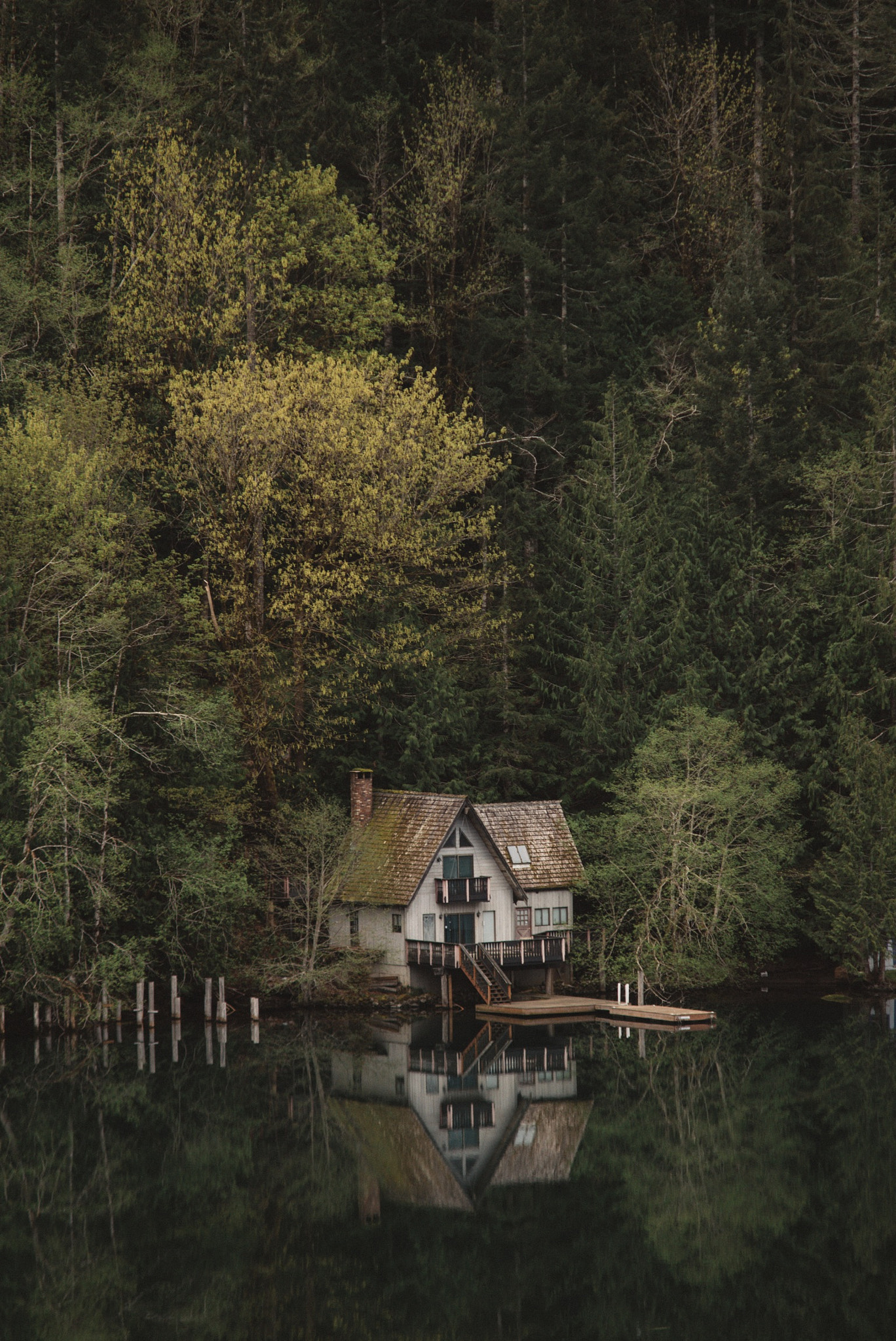 Nikon D750 + AF Zoom-Nikkor 75-300mm f/4.5-5.6 sample photo. Reflections in olympic national park. photography