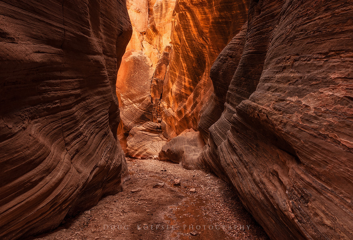 Nikon AF-S Nikkor 16-35mm F4G ED VR sample photo. Deep in the bowels photography