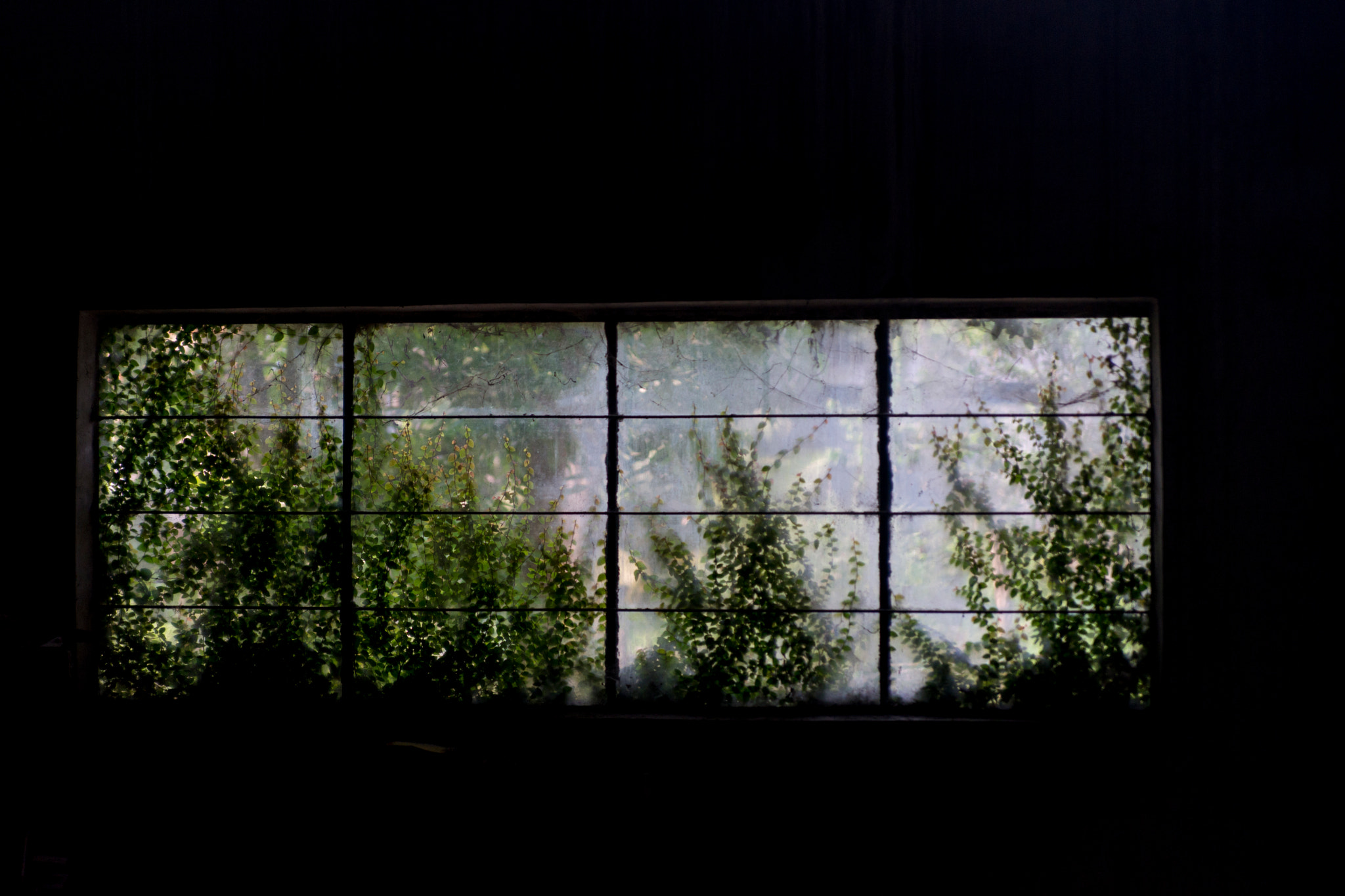 Sony a99 II + Minolta AF 28-75mm F2.8 (D) sample photo. Dsc02162.jpg photography