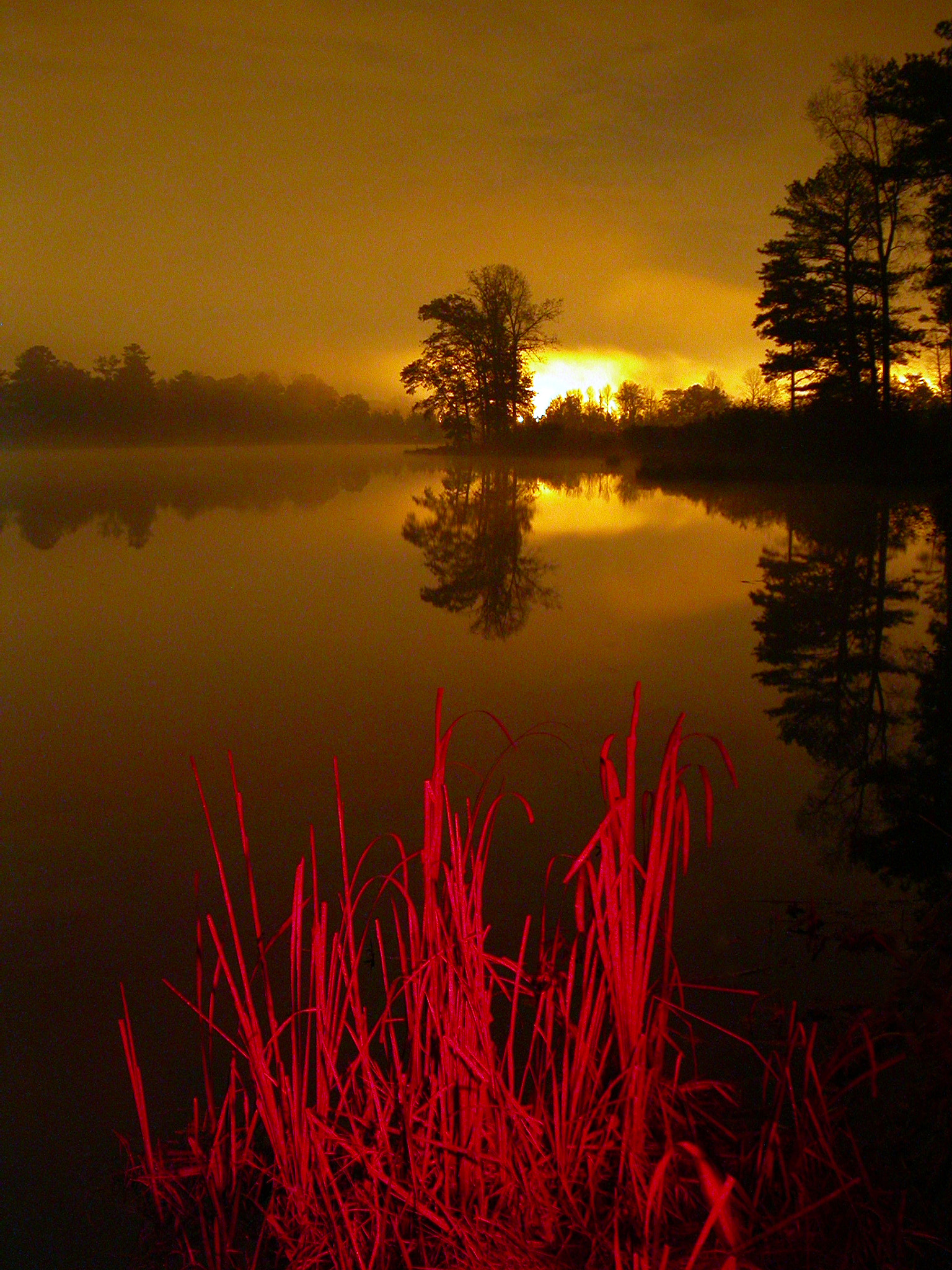 Nikon E4500 sample photo. Painting with light #1 photography