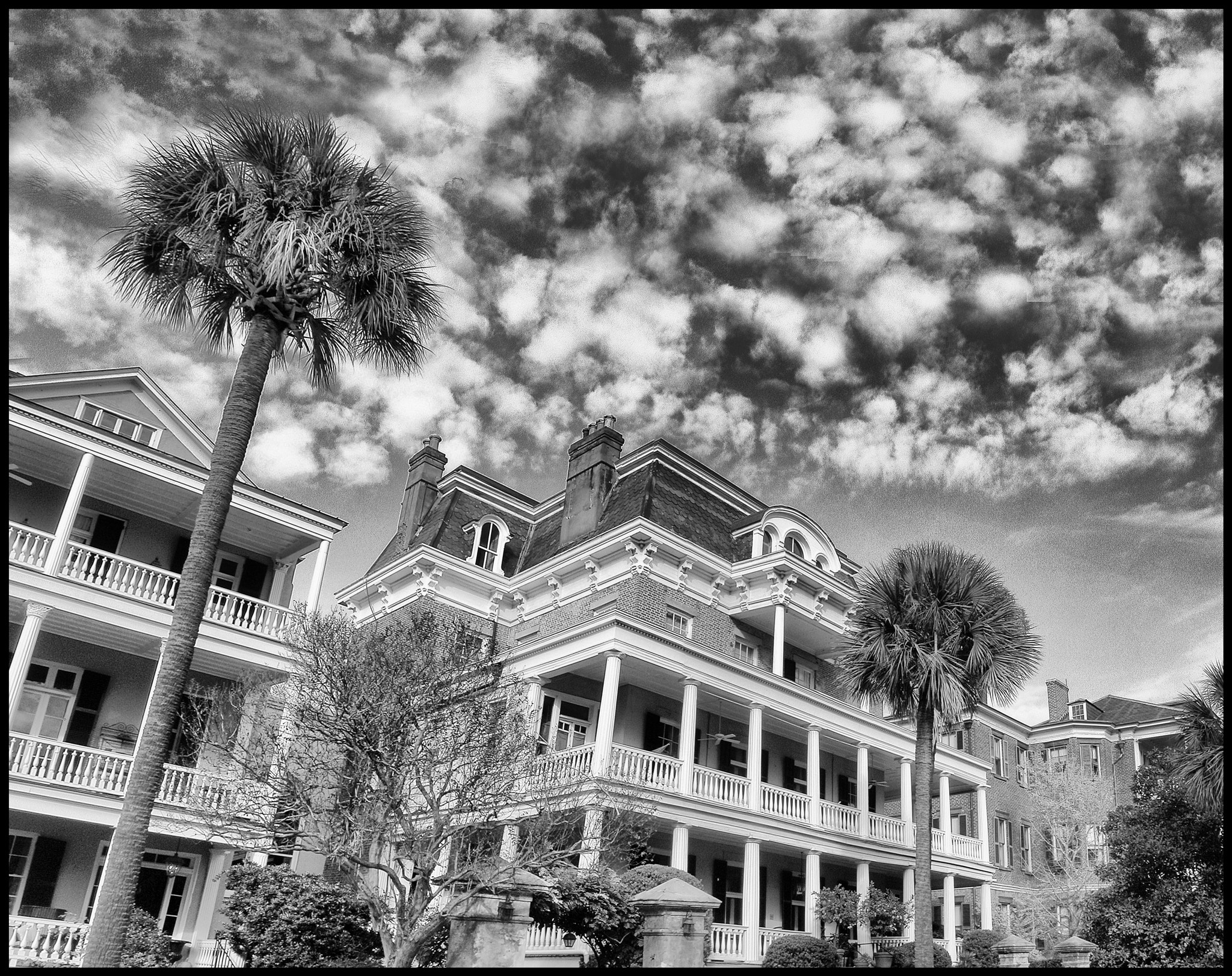 Nikon E4500 sample photo. Charleston, sc photography
