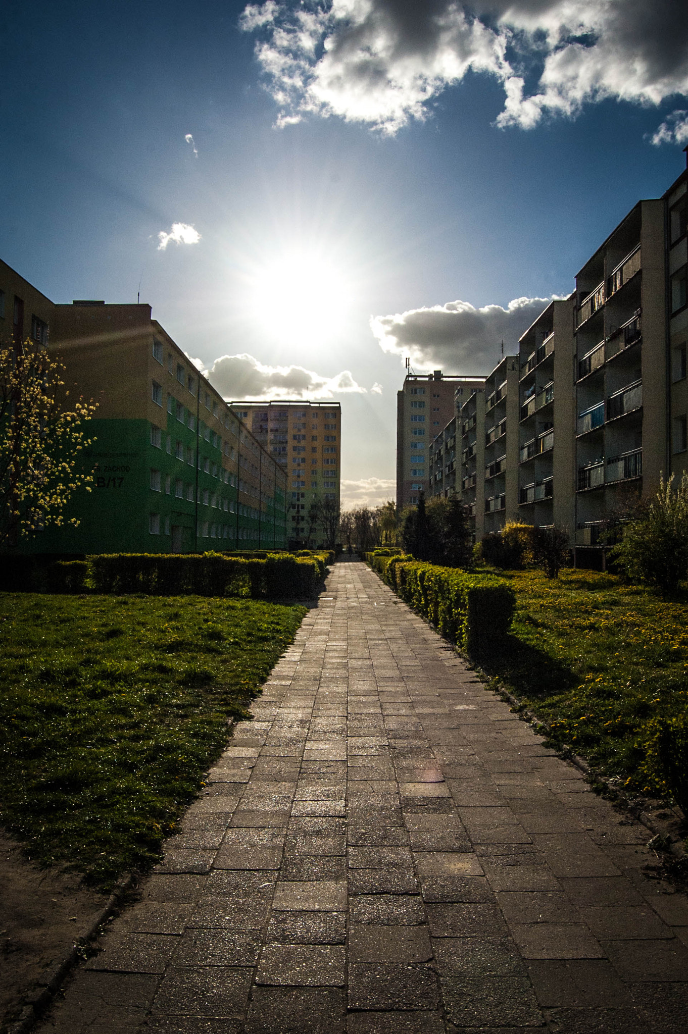 Nikon D70 sample photo. //sunny blockyard photography