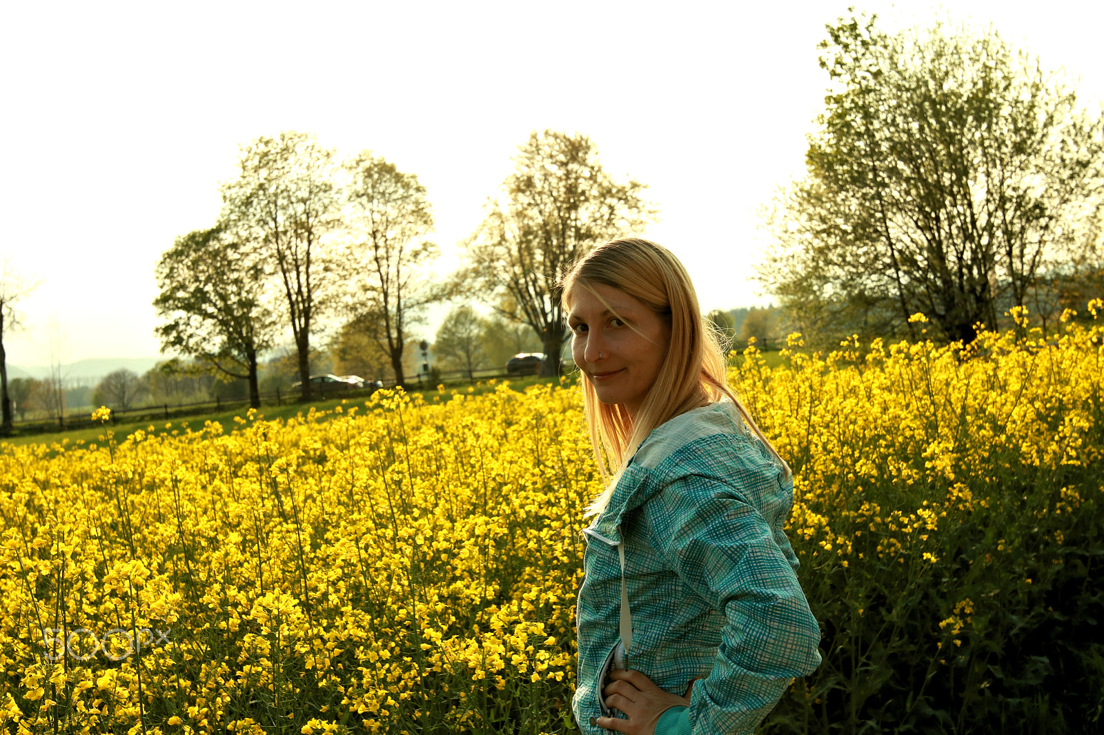 Canon EOS 750D (EOS Rebel T6i / EOS Kiss X8i) sample photo. Susan sunshine2 photography