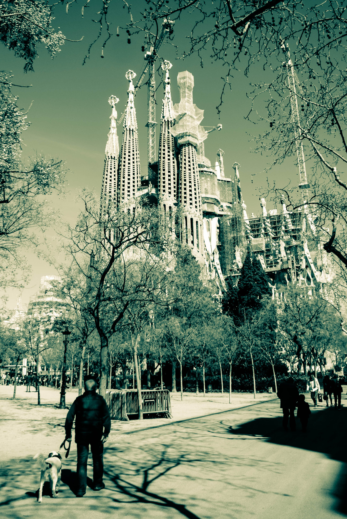 Sigma 17-50mm F2.8 EX DC OS HSM sample photo. Barcelona photography