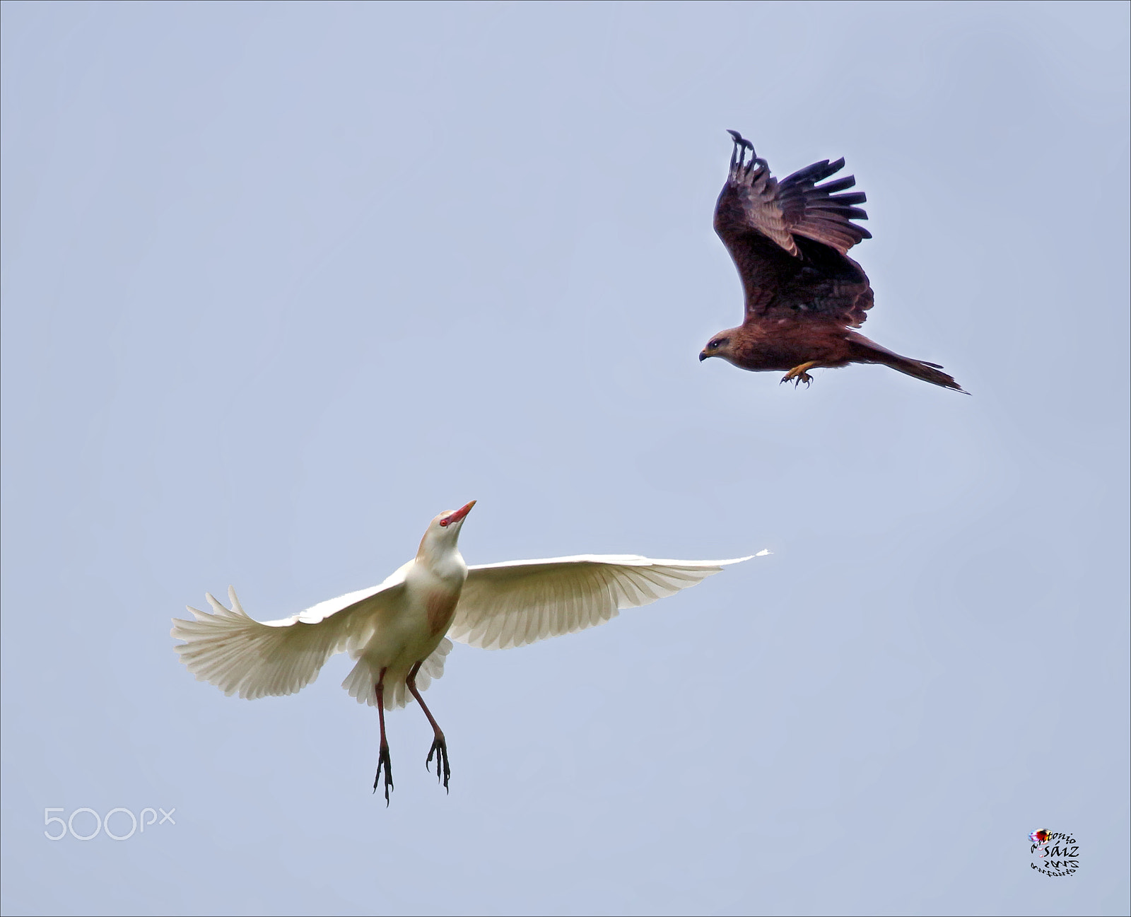 Canon EF 100-400mm F4.5-5.6L IS USM sample photo. Encuentro photography