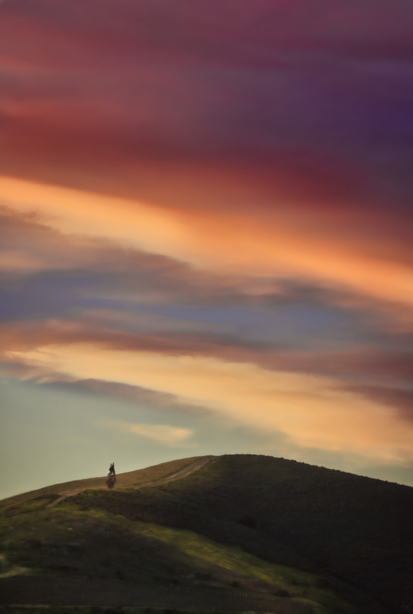 Nikon D2X sample photo. Wine country sunset photography