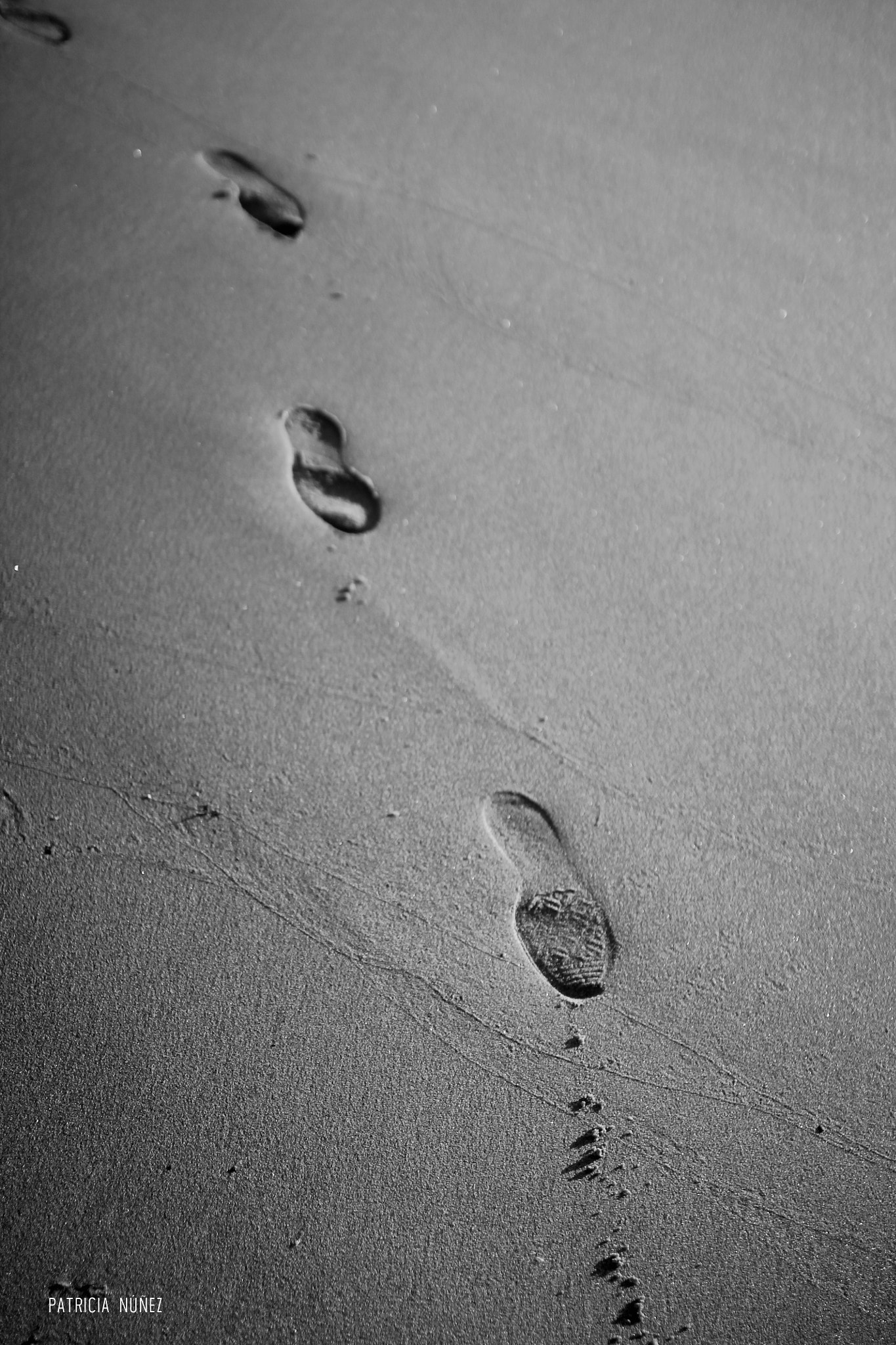 Sigma 30mm F1.4 EX DC HSM sample photo. Praia photography